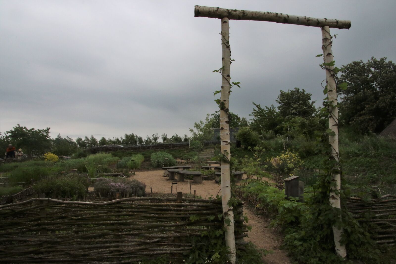 Canon EOS 7D Mark II sample photo. Field, garden, grow, scandinavia photography