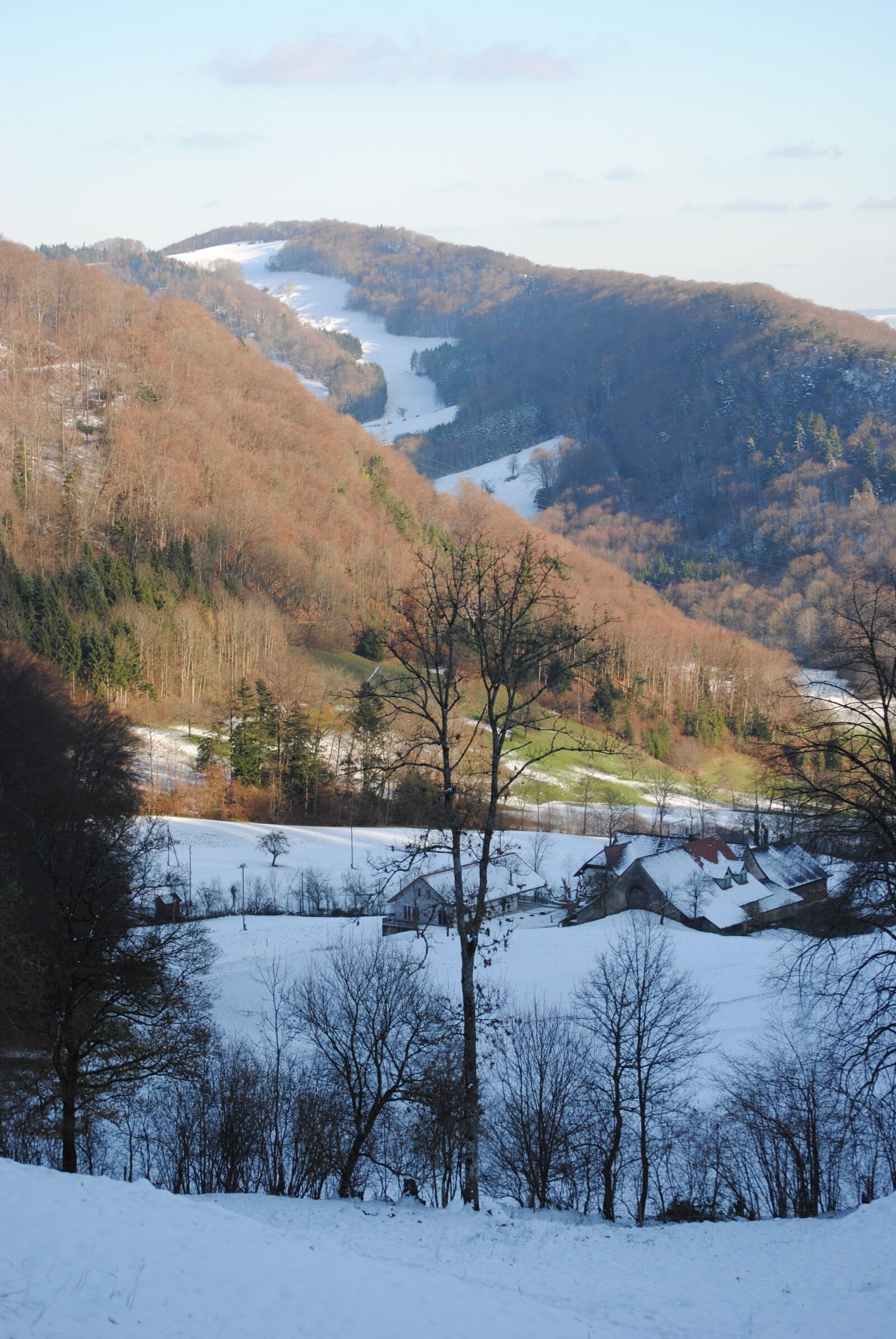 Nikon D3000 sample photo. Wintry, barmelhof, erlinsbach photography
