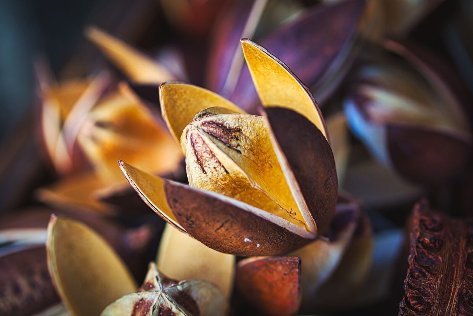 Canon EOS 6D sample photo. Autumn, deco, decoration photography