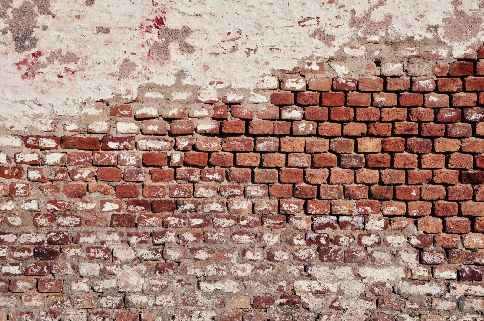 Nikon D5100 sample photo. Wall, brick, brick wall photography