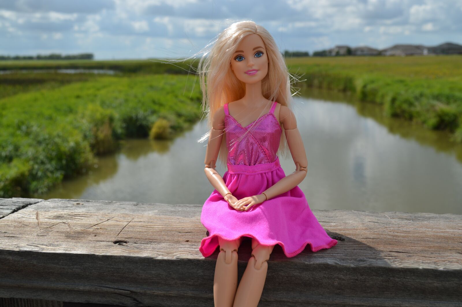 Nikon D3200 sample photo. Barbie, doll, blonde photography