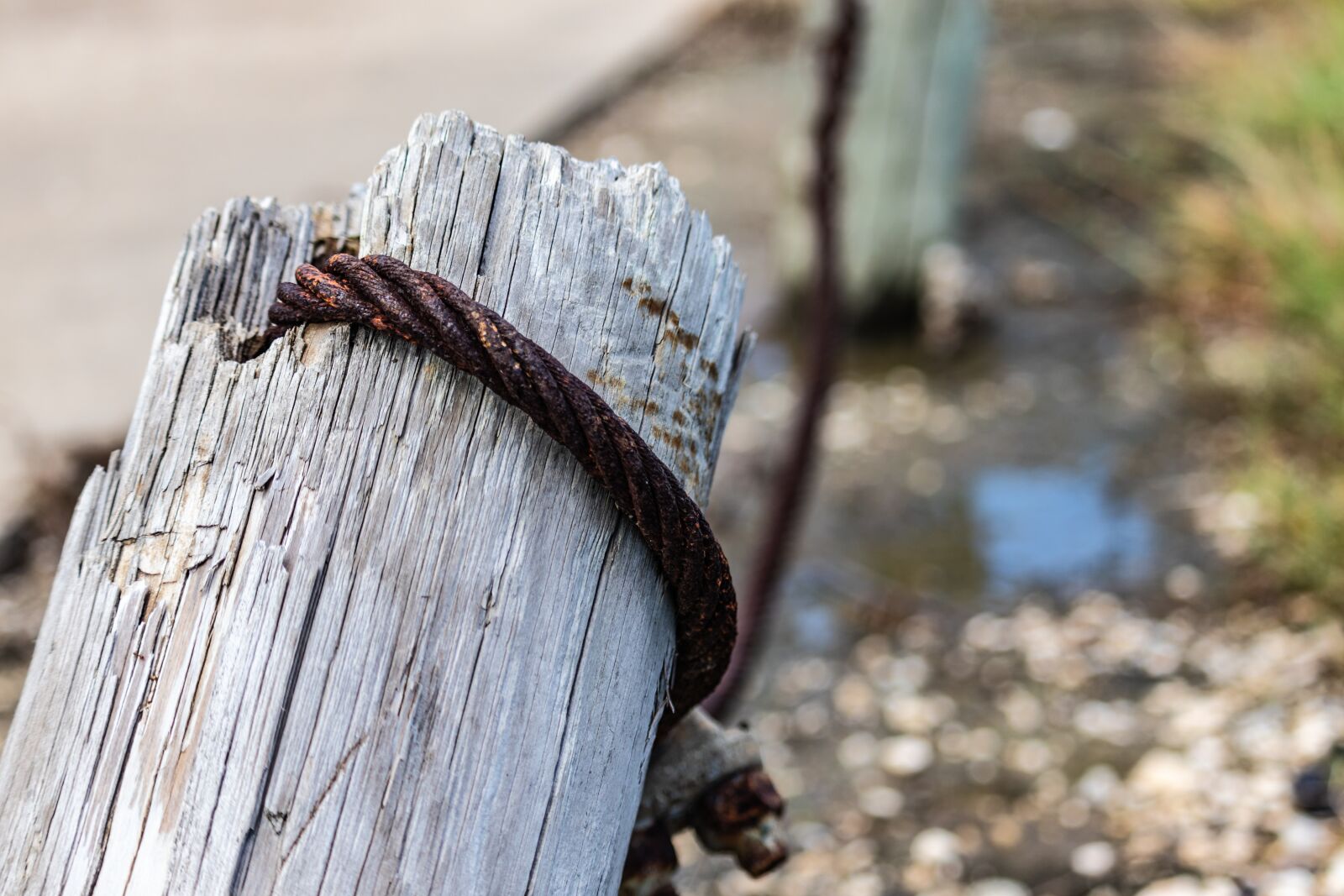 Canon EOS 200D (EOS Rebel SL2 / EOS Kiss X9) sample photo. Cable, iron, rope photography