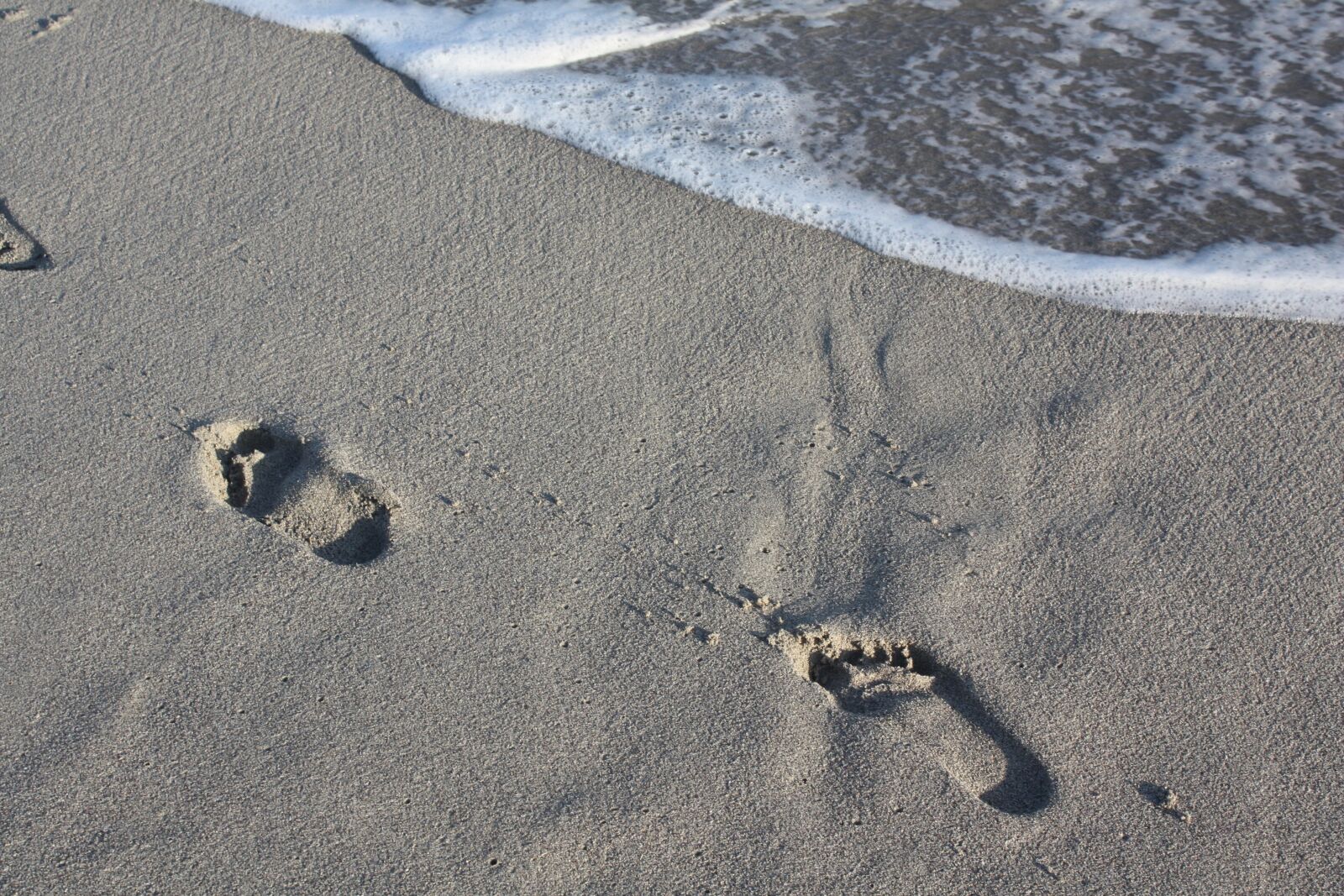 Canon EOS 450D (EOS Rebel XSi / EOS Kiss X2) sample photo. Sand, beach, footprint photography