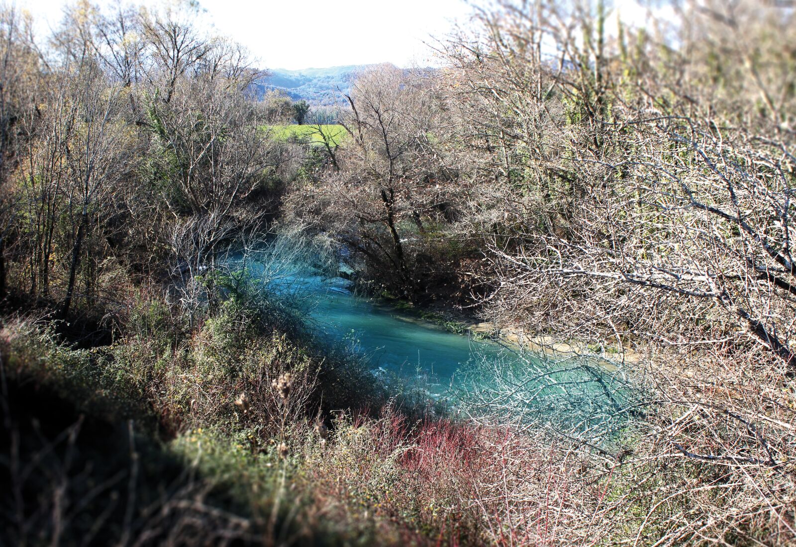 Canon EOS 600D (Rebel EOS T3i / EOS Kiss X5) sample photo. River, forest, water photography