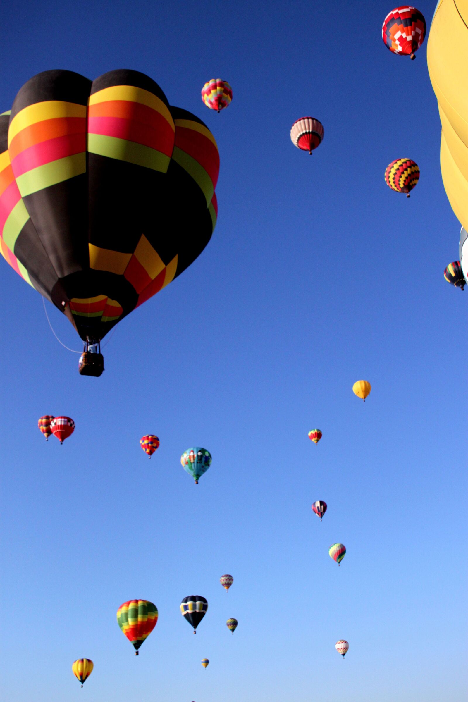 Canon EOS 500D (EOS Rebel T1i / EOS Kiss X3) sample photo. Hot air balloons, balloon photography