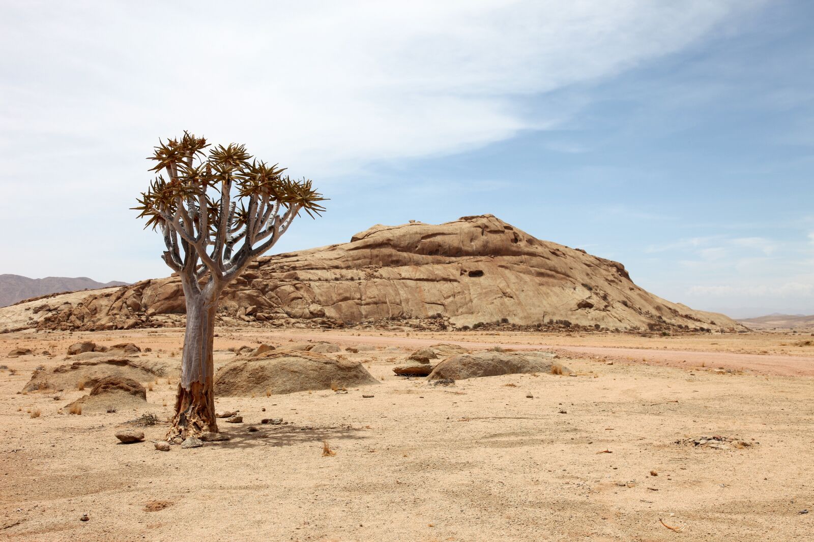 Canon EOS 5D Mark II sample photo. Namibia, africa, drought photography