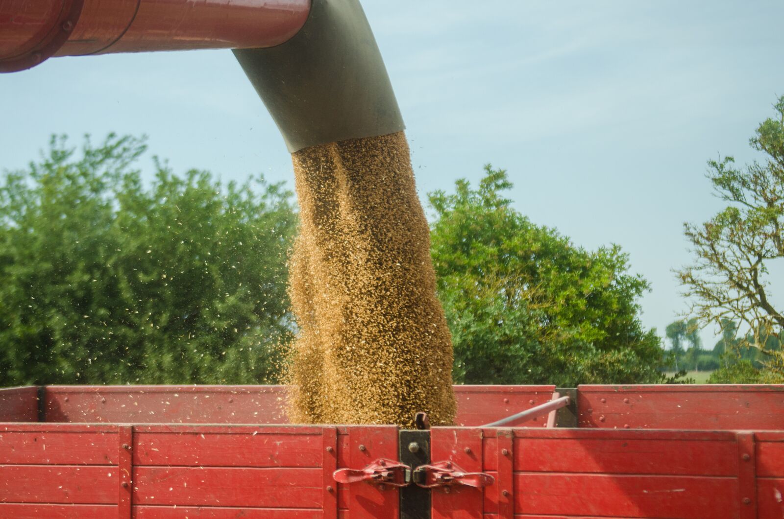 Nikon D7000 sample photo. Crop, wheat, agriculture photography