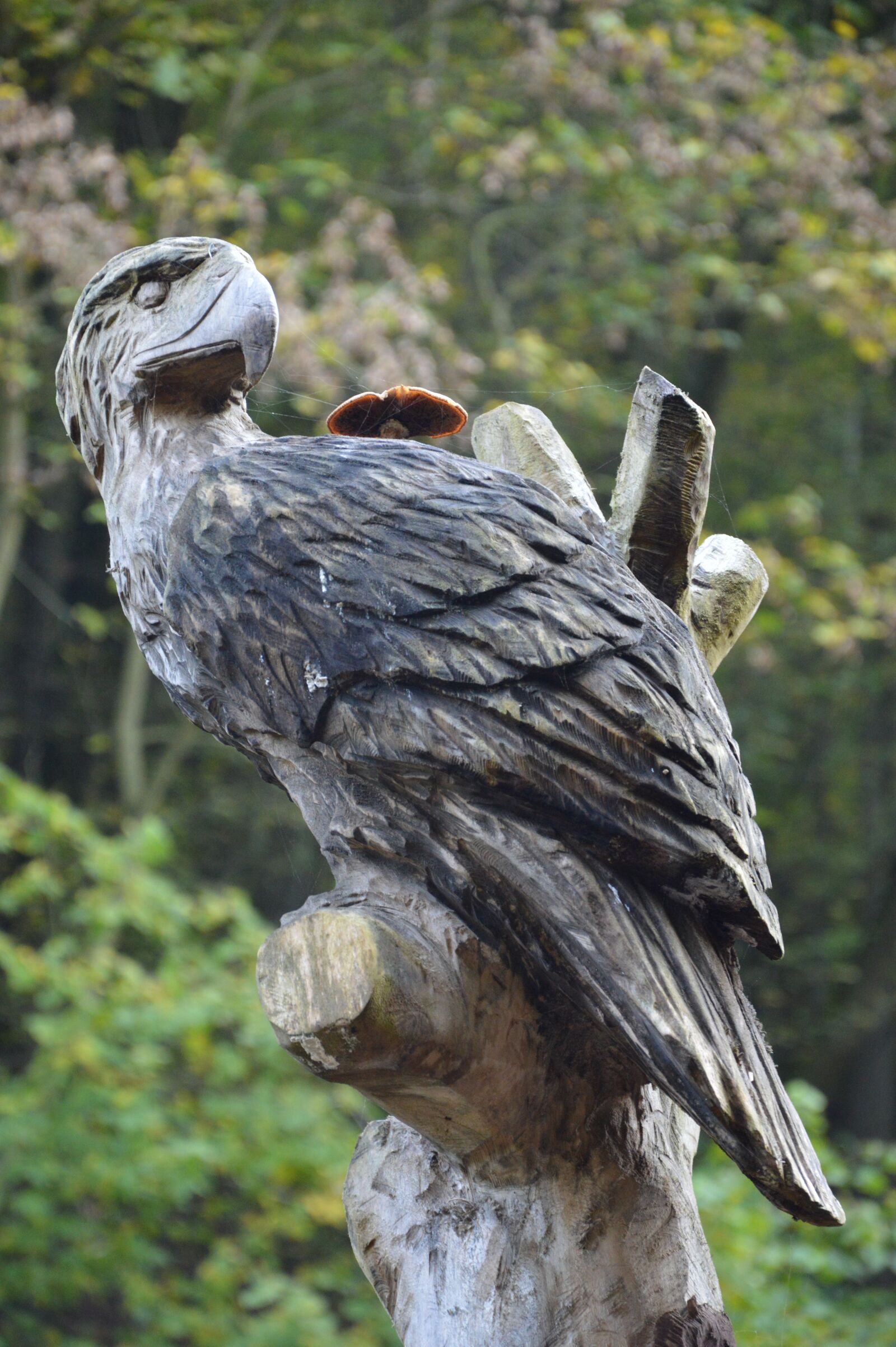 Nikon D3200 sample photo. Carve, wood, bird photography