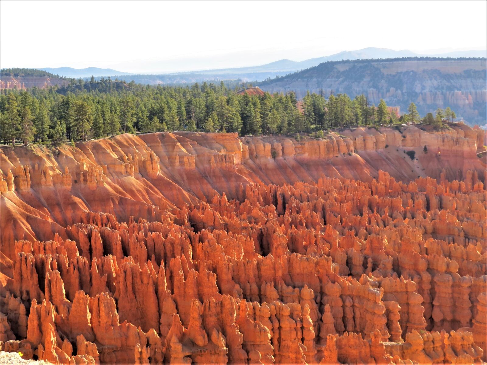 Canon PowerShot SX50 HS sample photo. Bryce canyon, utah, sunrise photography