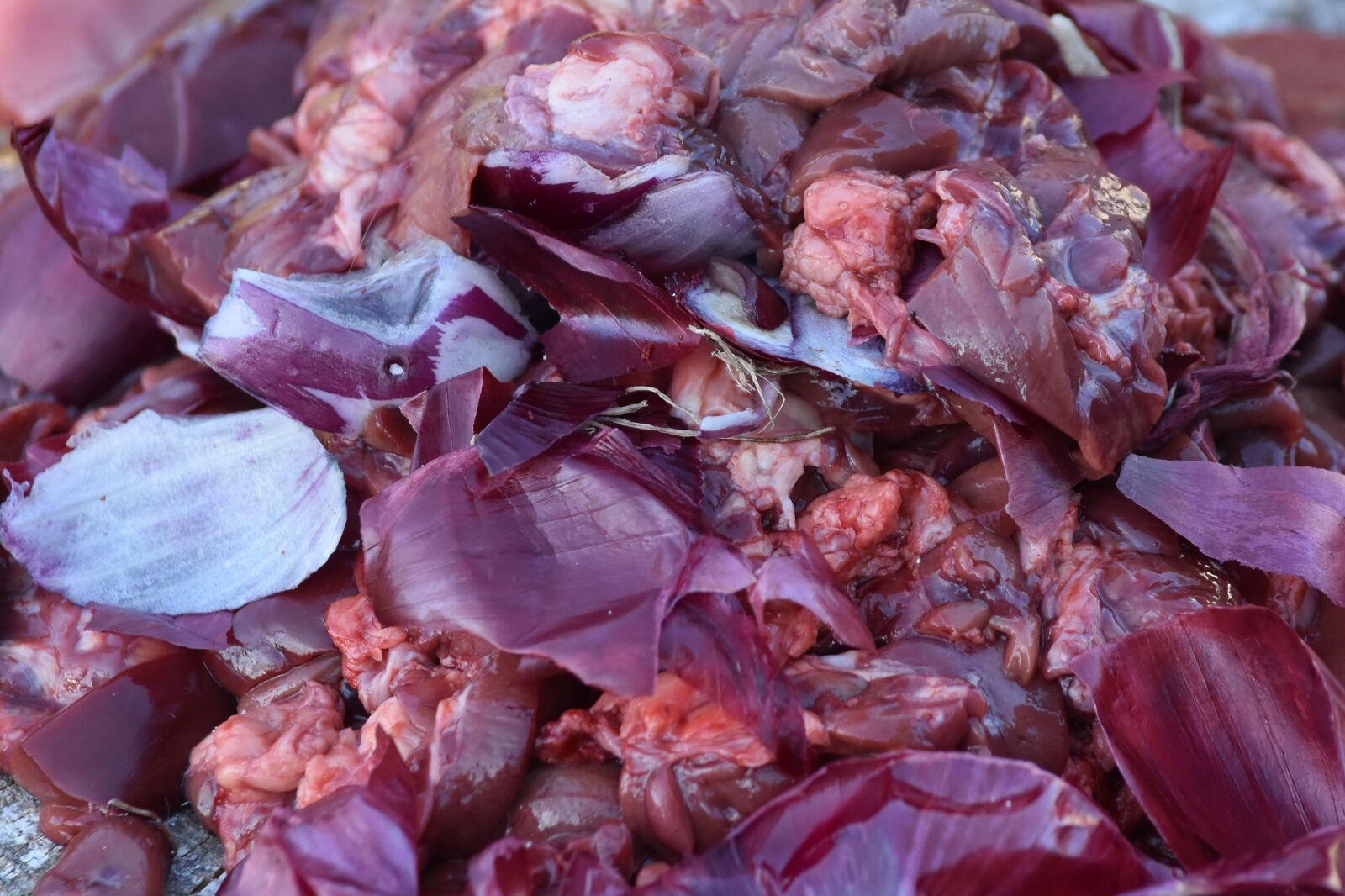 Nikon D7200 sample photo. Onion, vles, power supply photography