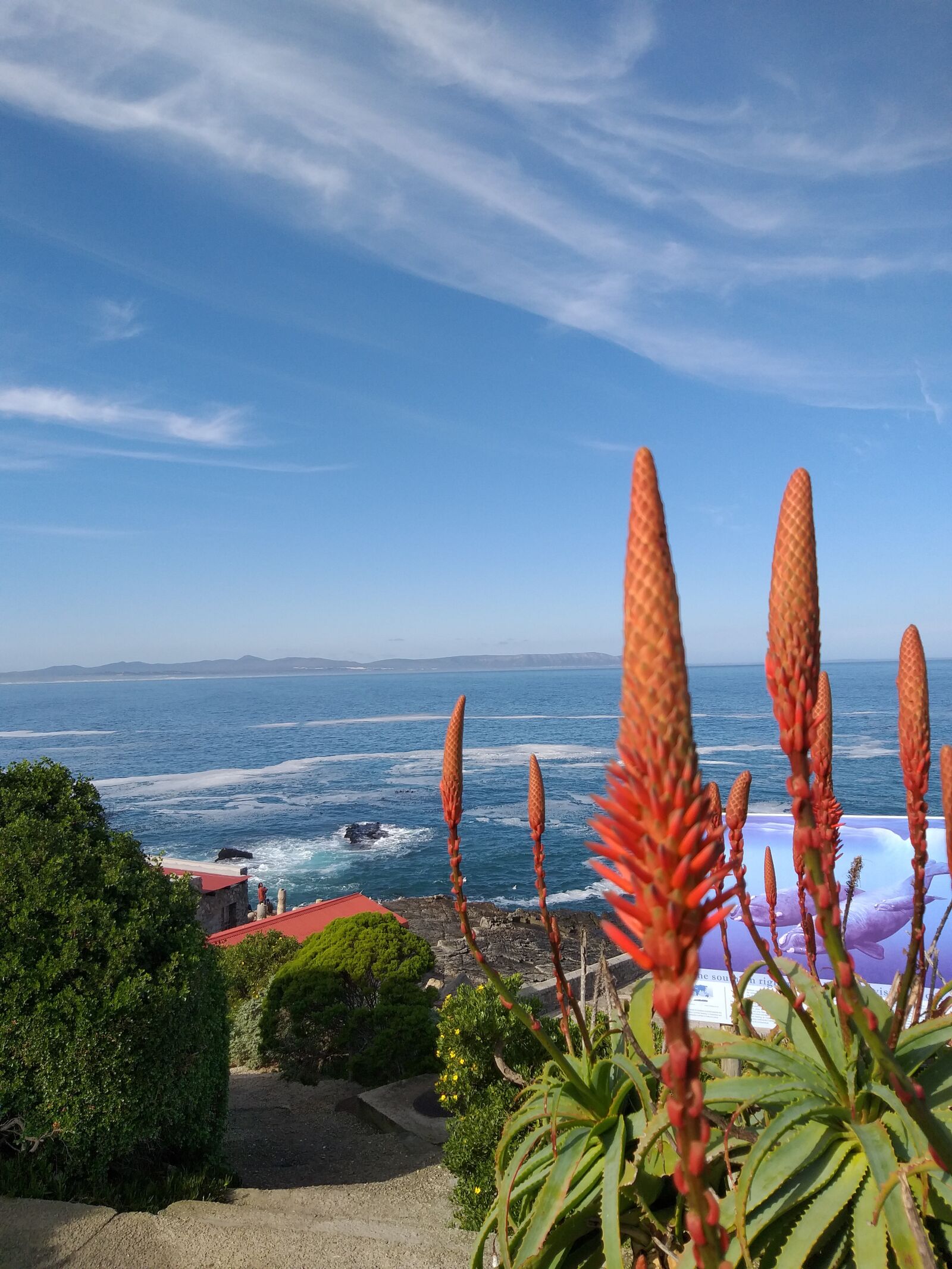 Samsung Galaxy A6+ sample photo. South africa, hermanus, ocean photography
