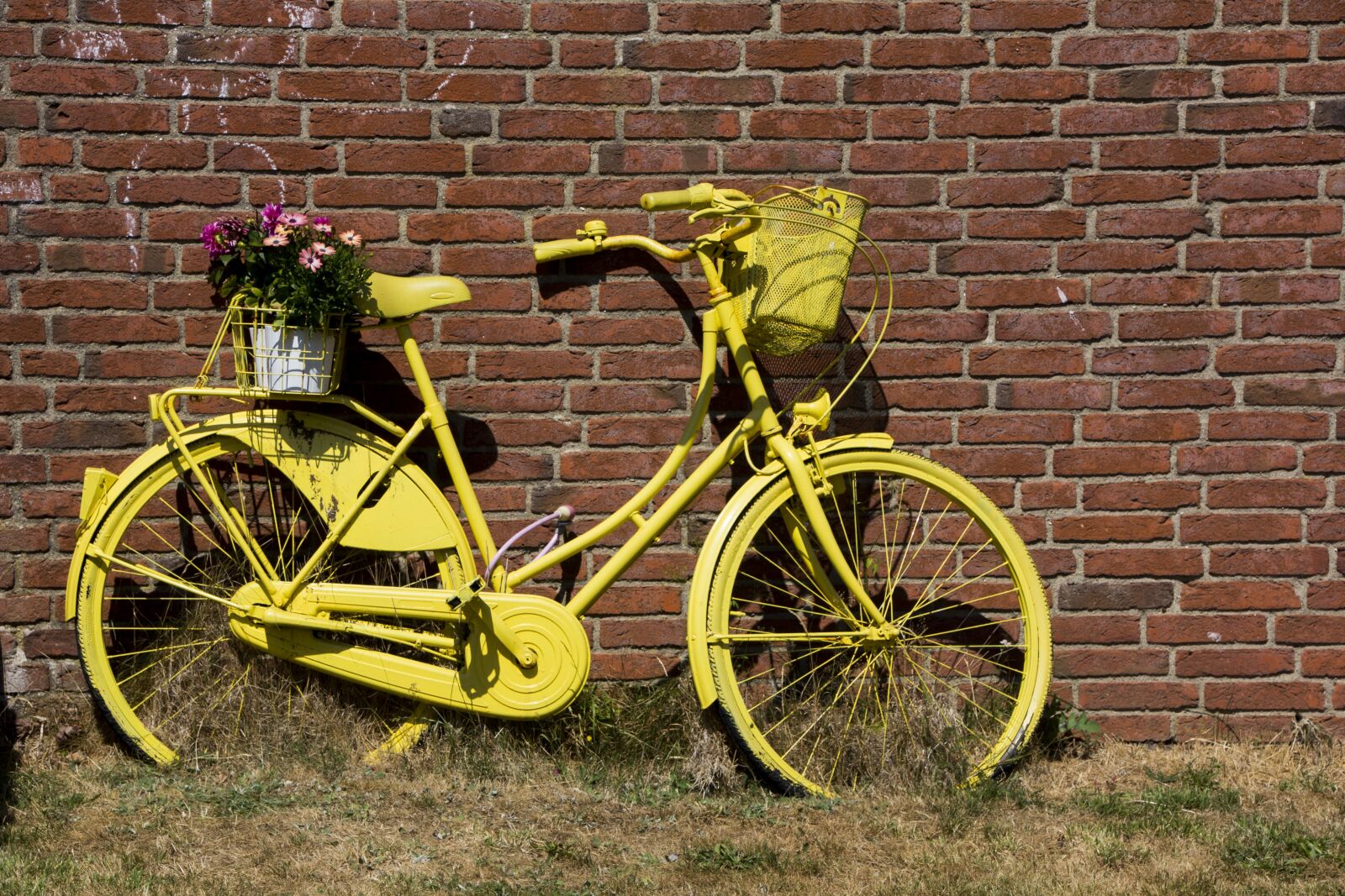 Canon EOS 60D sample photo. Bike, deco, decoration photography