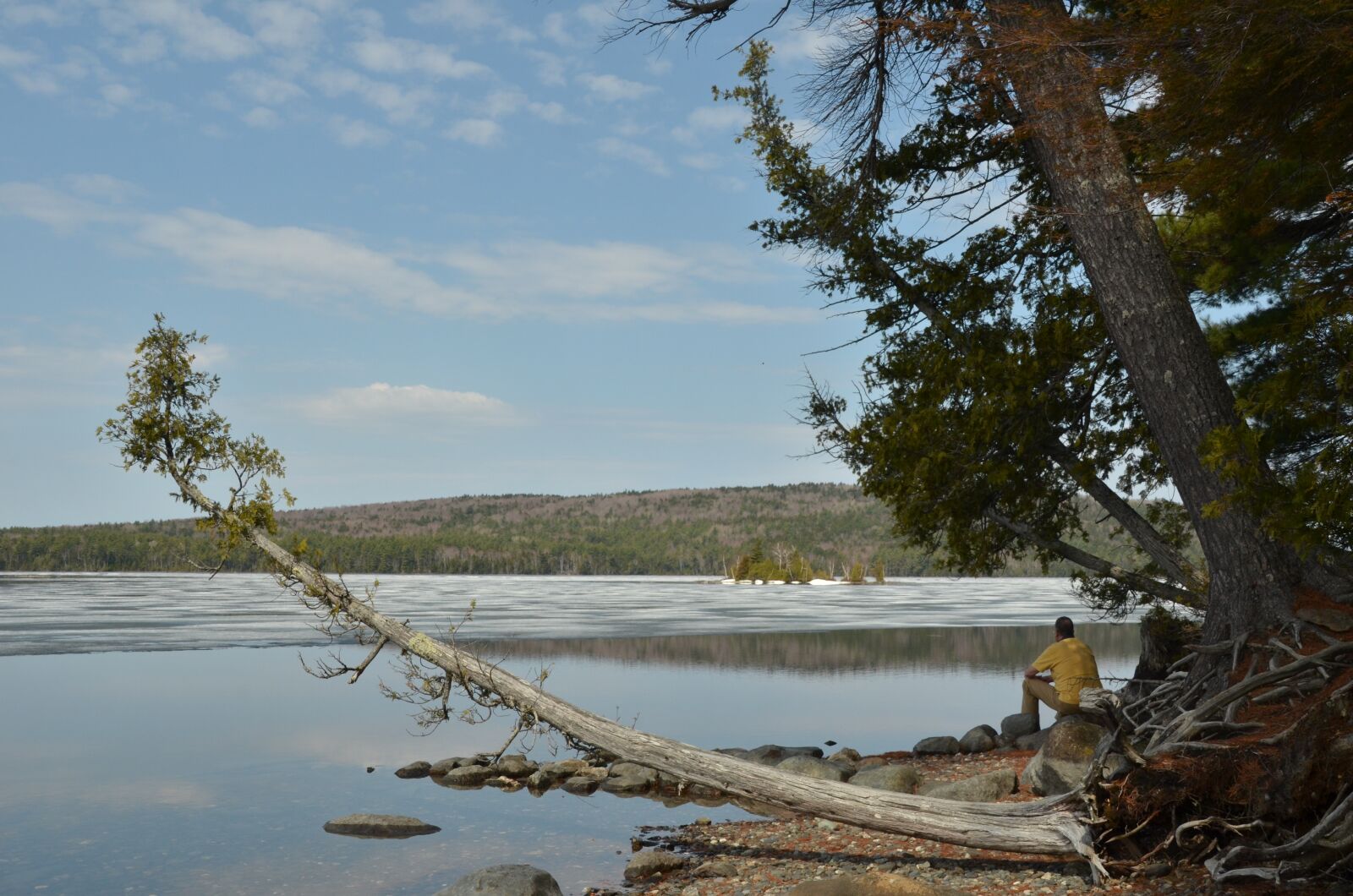 Nikon D7000 sample photo. More, ice, frozen photography