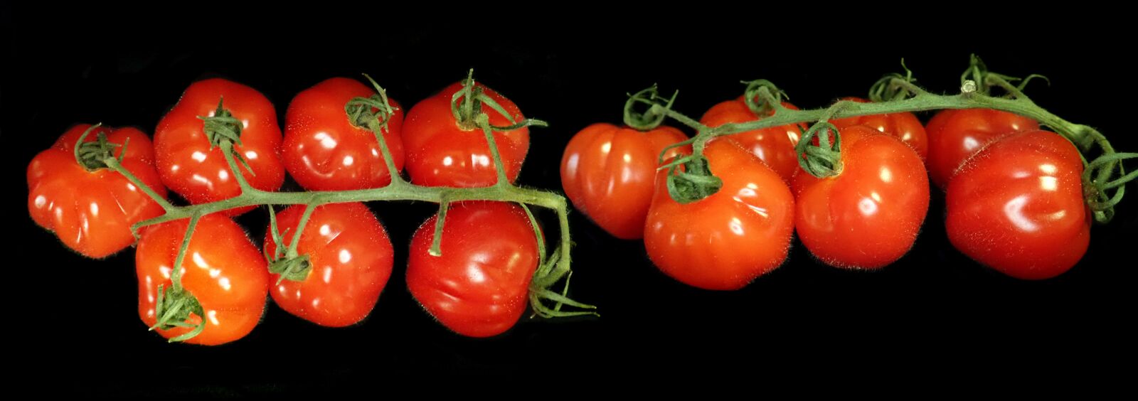 Olympus TG-5 sample photo. Tomatoes, small, truss photography