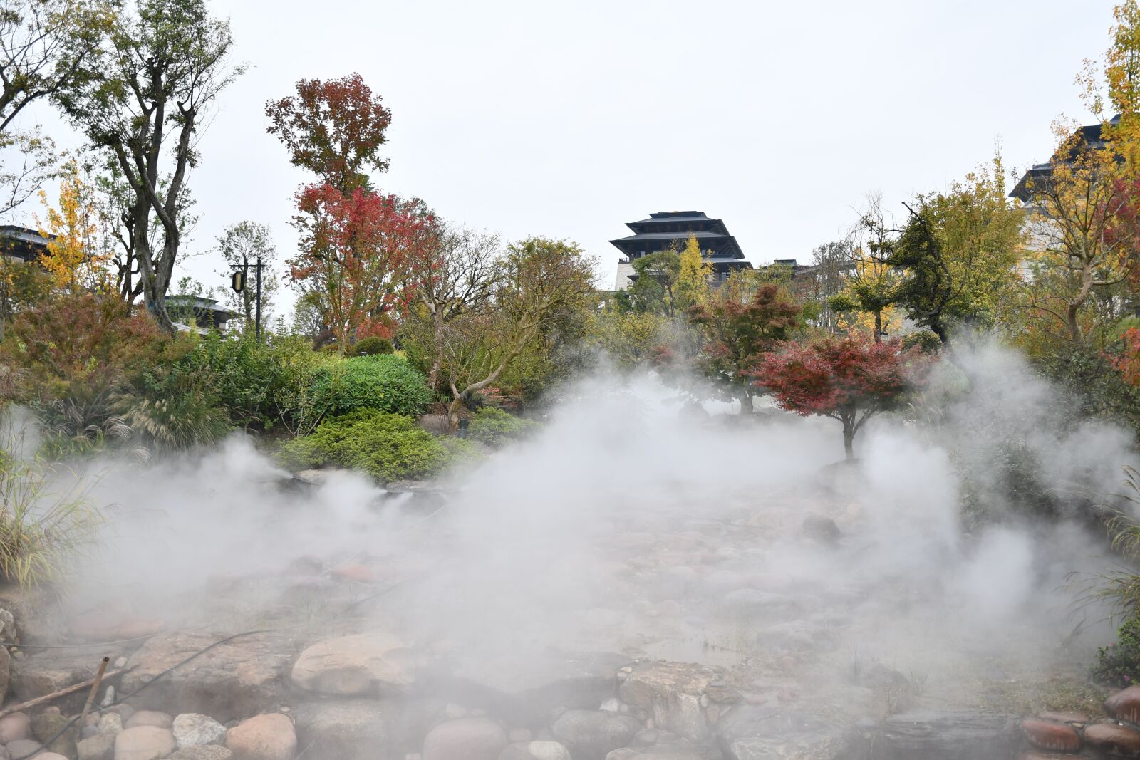 Nikon D7500 sample photo. The scenery, hanzhong, china photography