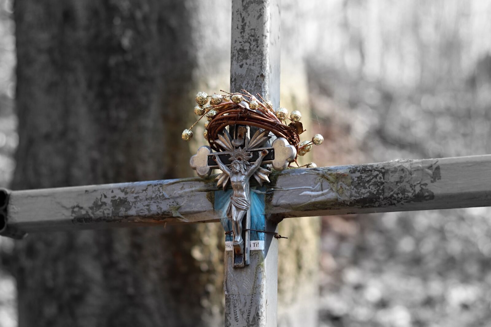 Canon EOS 77D (EOS 9000D / EOS 770D) + Canon EF 50mm F1.8 STM sample photo. History, forest, cross photography