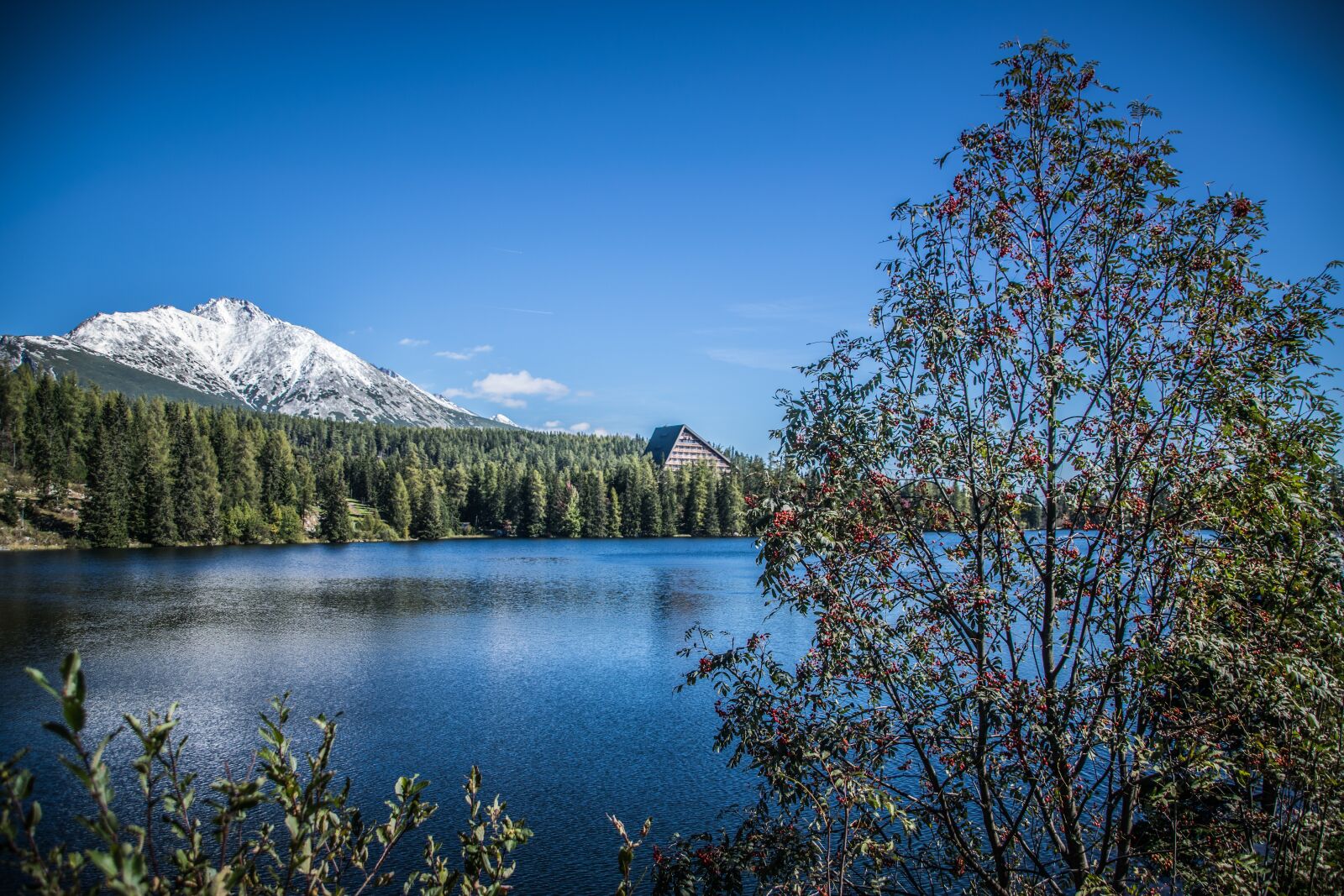 Nikon D5300 sample photo. Autumn, lake, nature photography