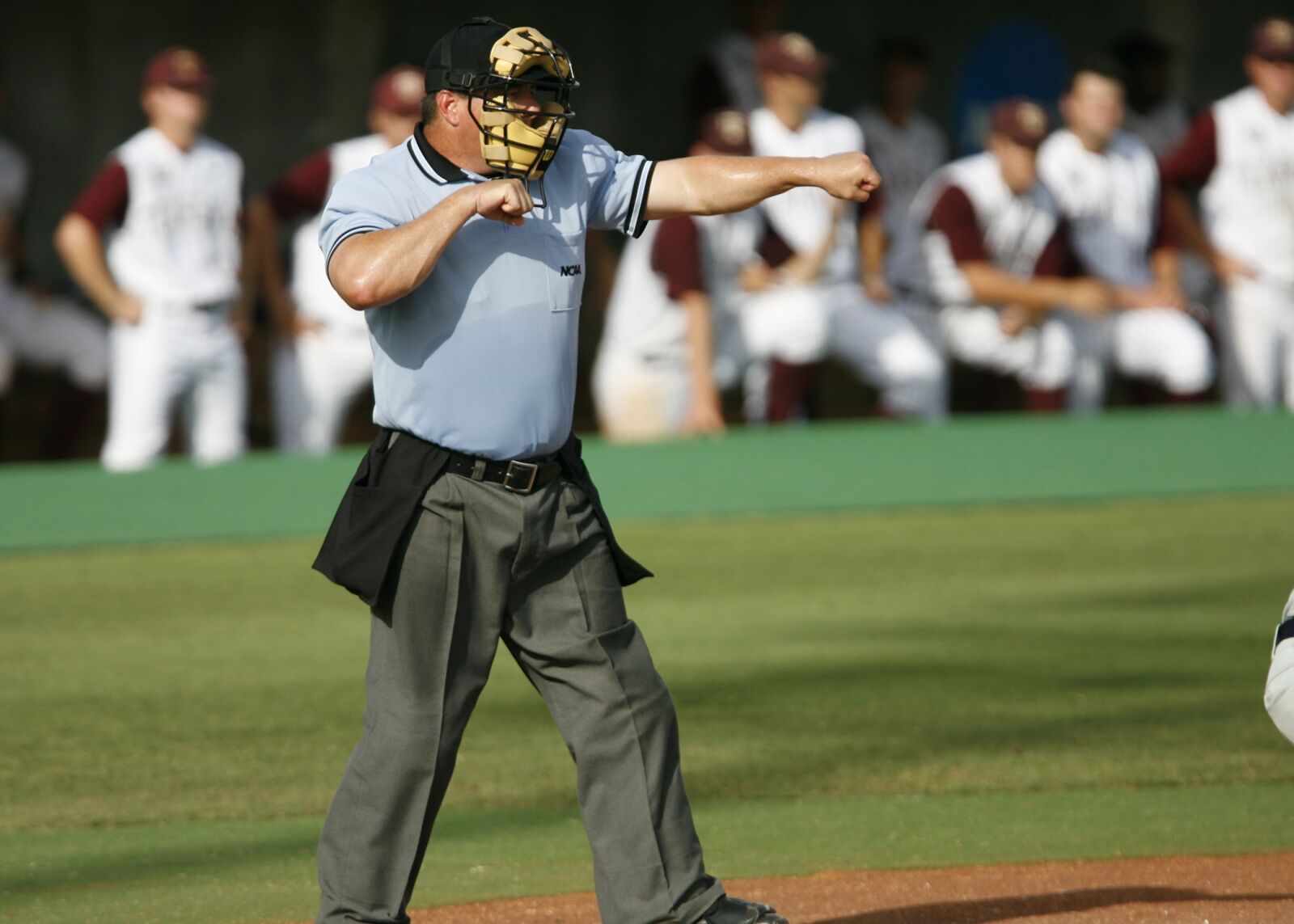 Canon EOS-1D Mark II N sample photo. Baseball, umpire, strike photography