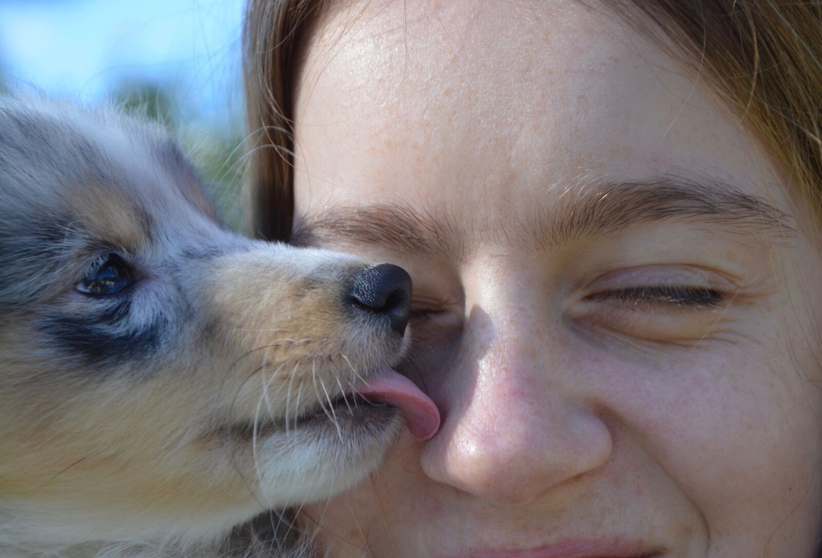 Nikon D5200 sample photo. Kiss, kisses, dog photography