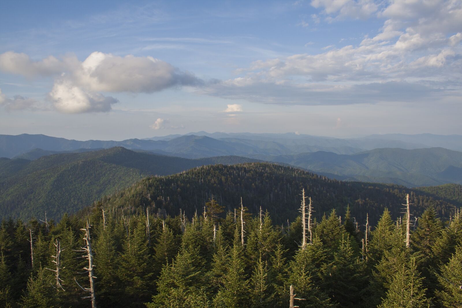 Canon EOS 350D (EOS Digital Rebel XT / EOS Kiss Digital N) sample photo. Smoky mountains, nature, clingmans photography