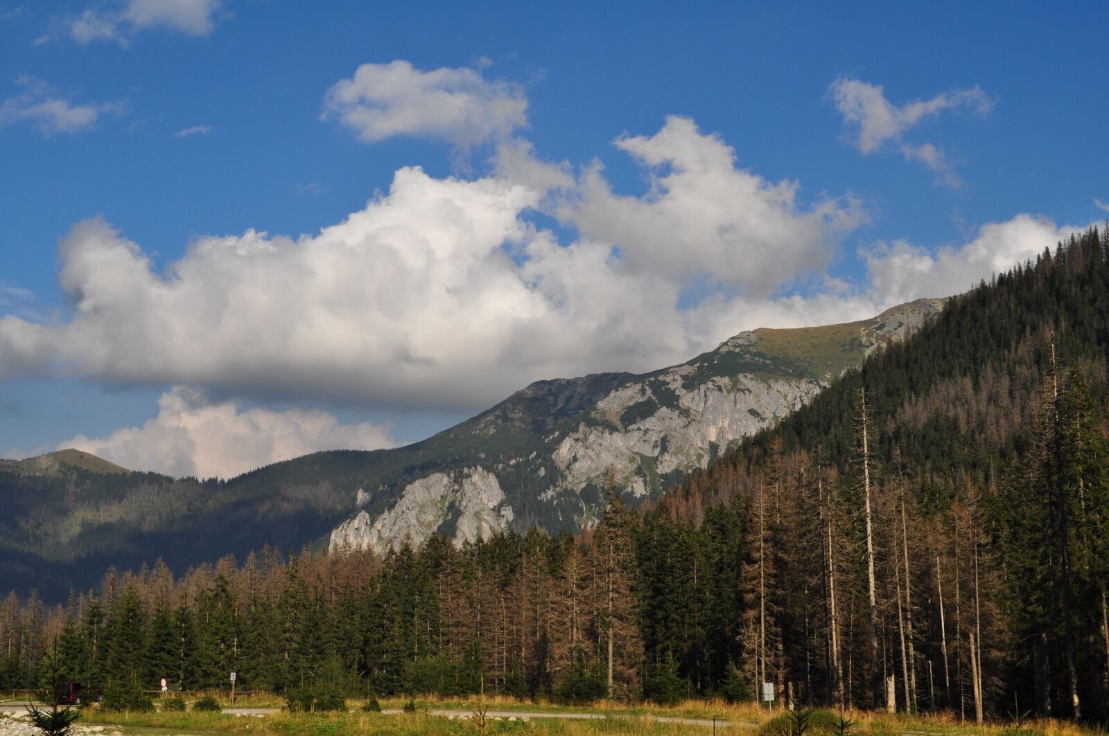 Nikon D5000 sample photo. Tatry, the national park photography