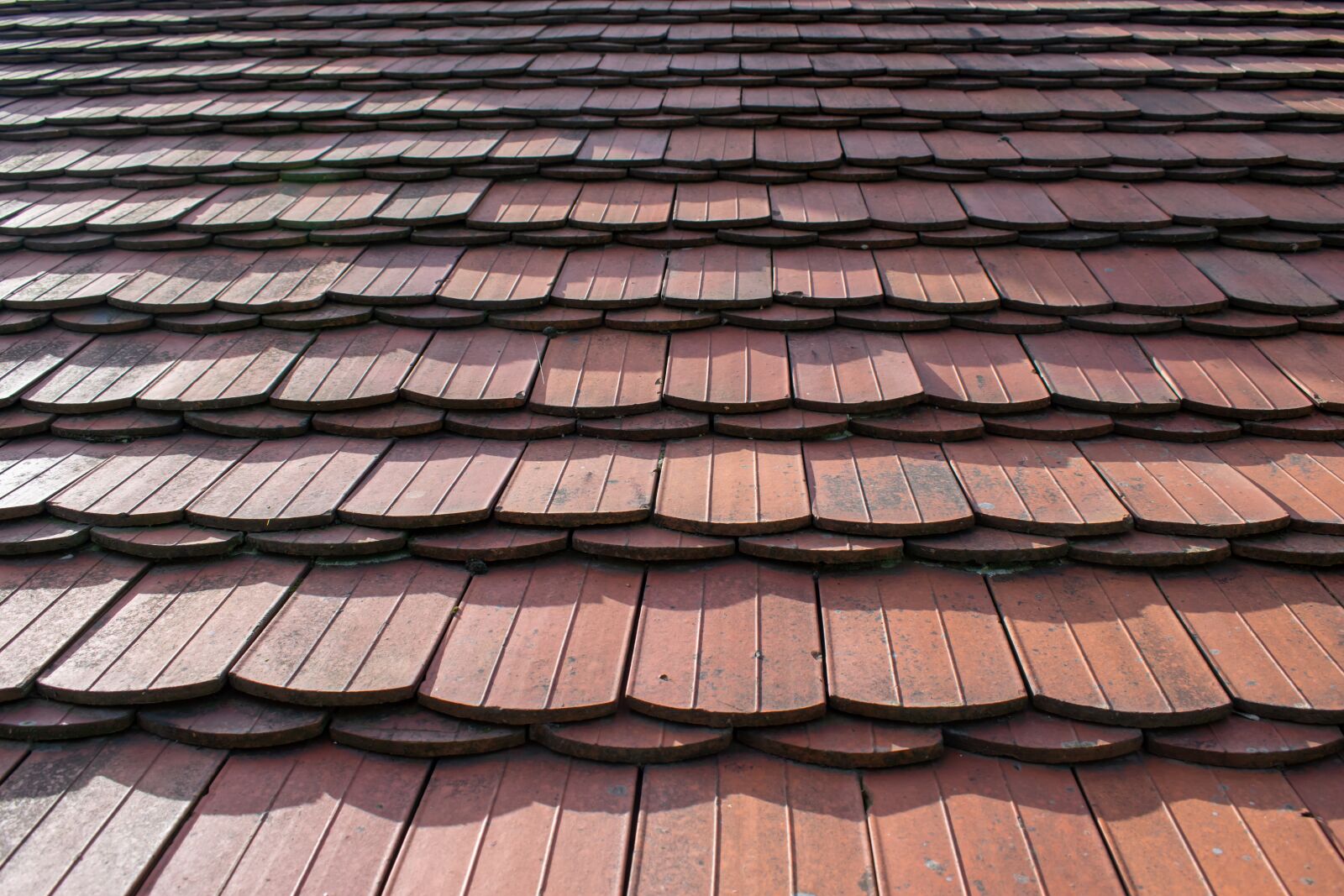 Nikon D5300 sample photo. Background, structure, roof shingles photography