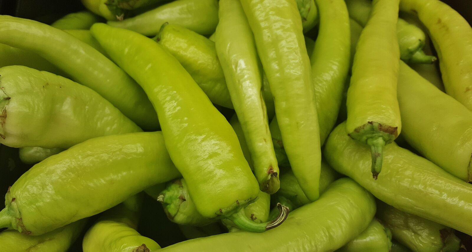 Samsung Galaxy Note5 sample photo. Hungarian wax peppers, hungarian photography