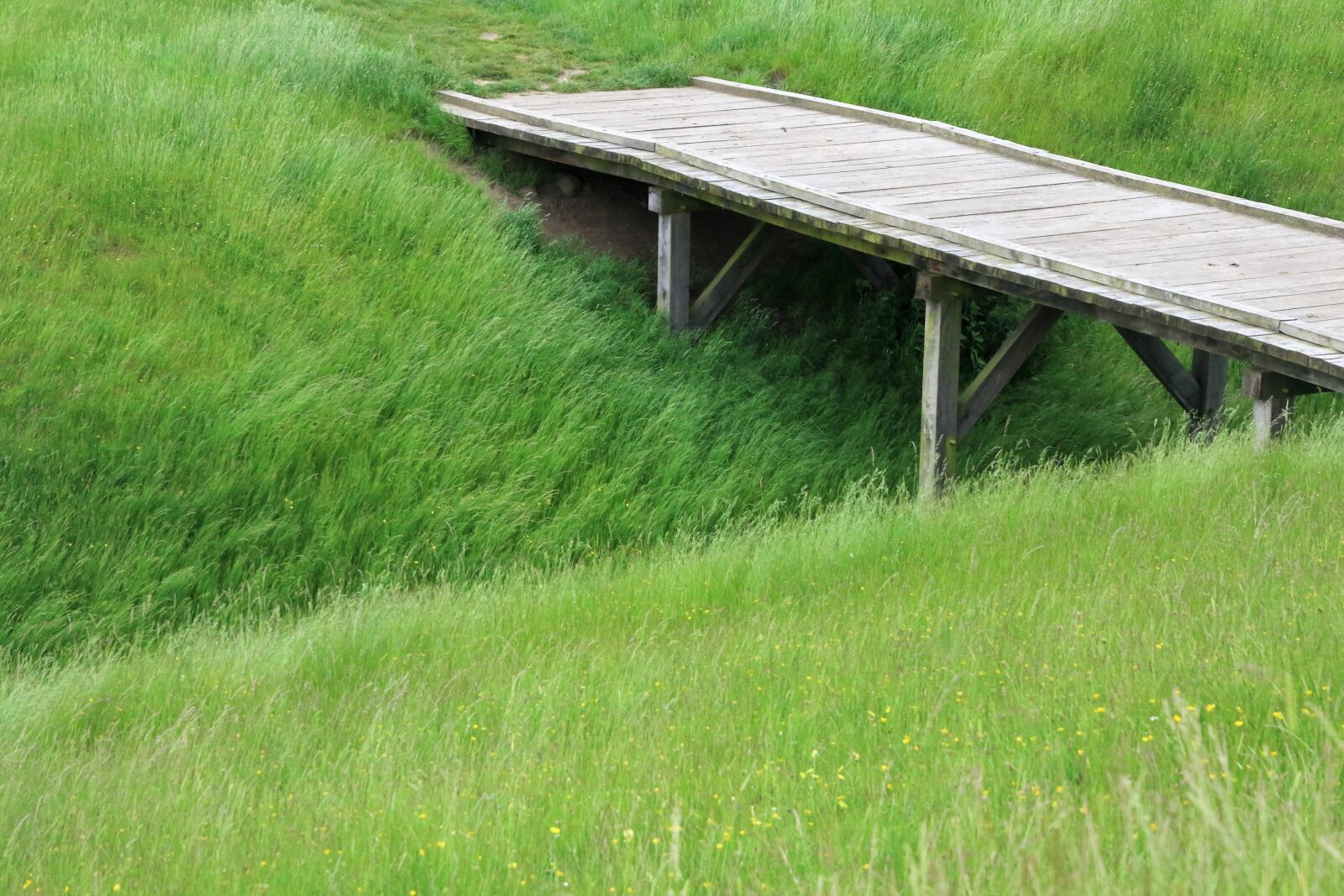 Canon EOS 7D Mark II sample photo. Bridge, country, field, grass photography