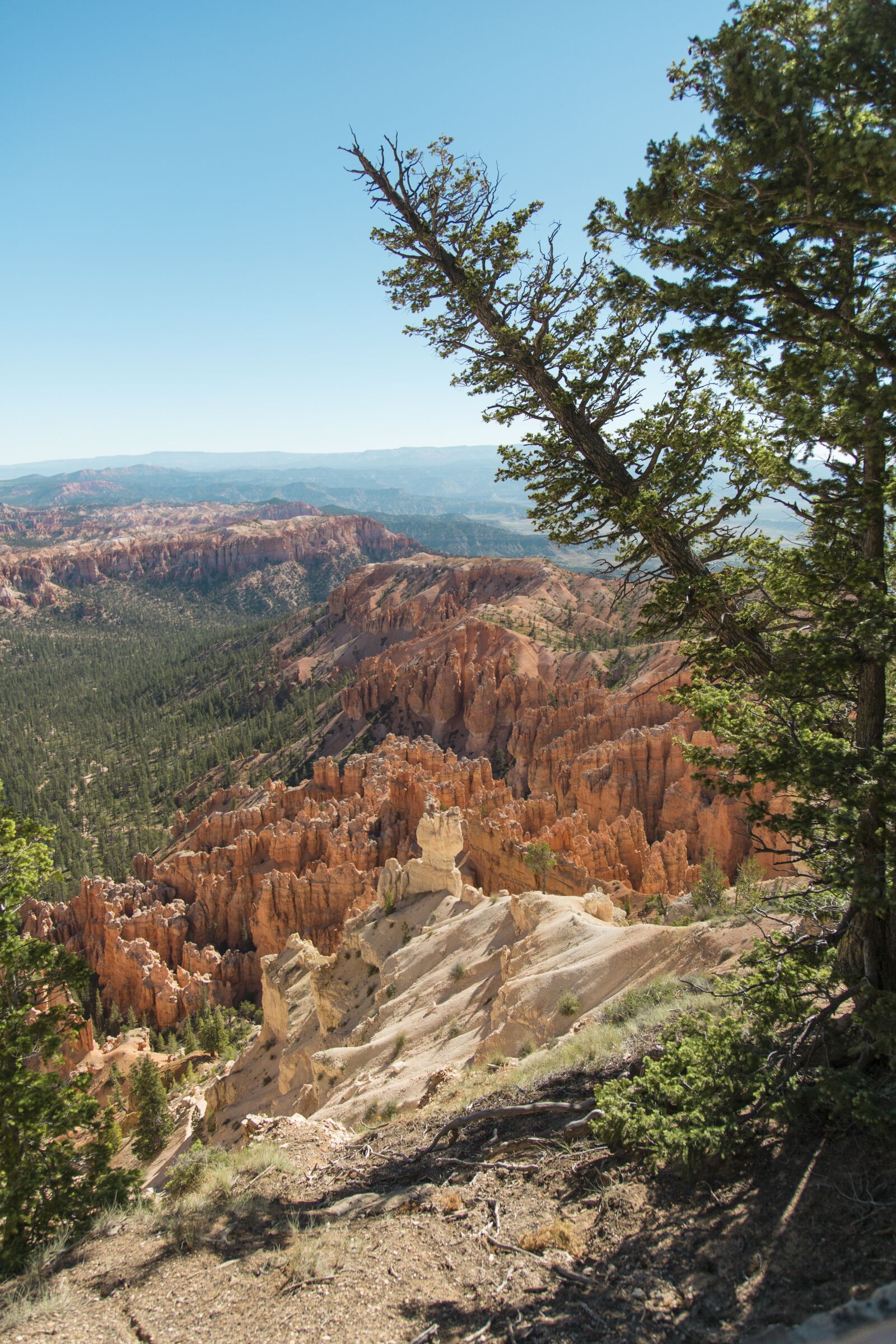Canon EOS 5D Mark III sample photo. Brice, canyon, national photography