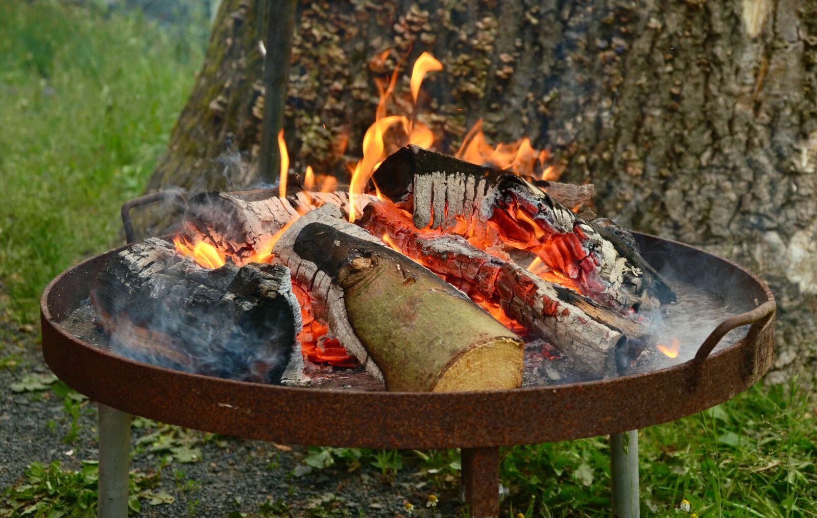 Nikon D5100 sample photo. Fire, barbecue, fire bowl photography