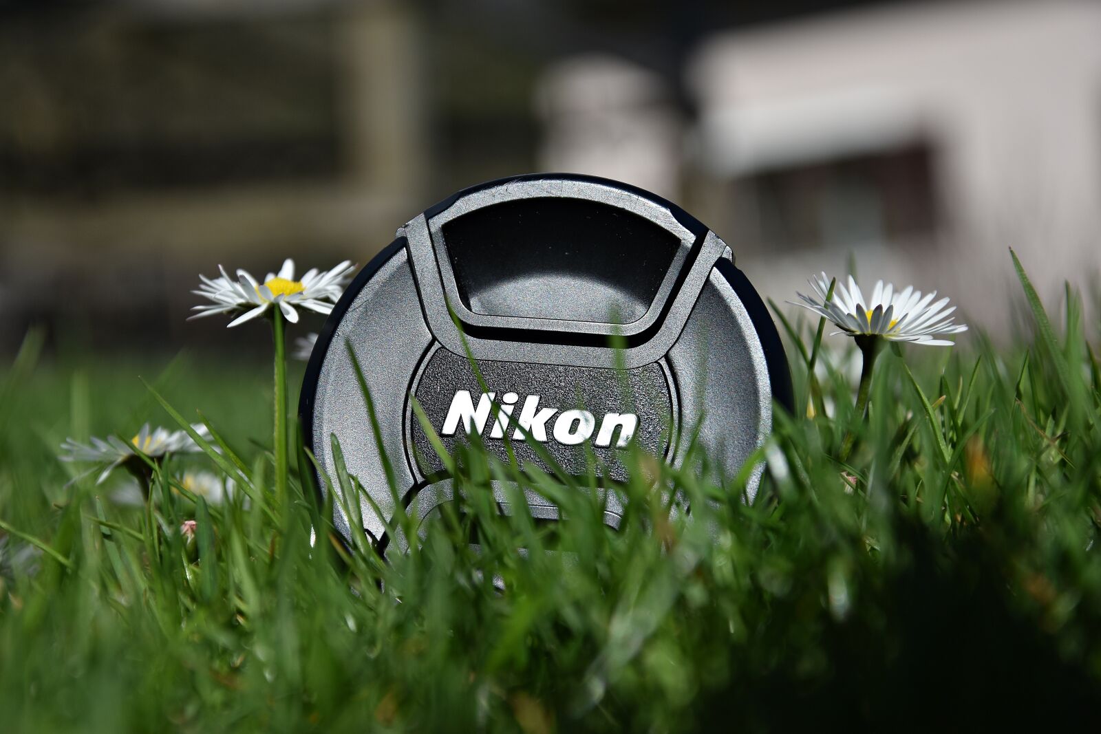 Nikon D3400 sample photo. Grass, nature, summer photography