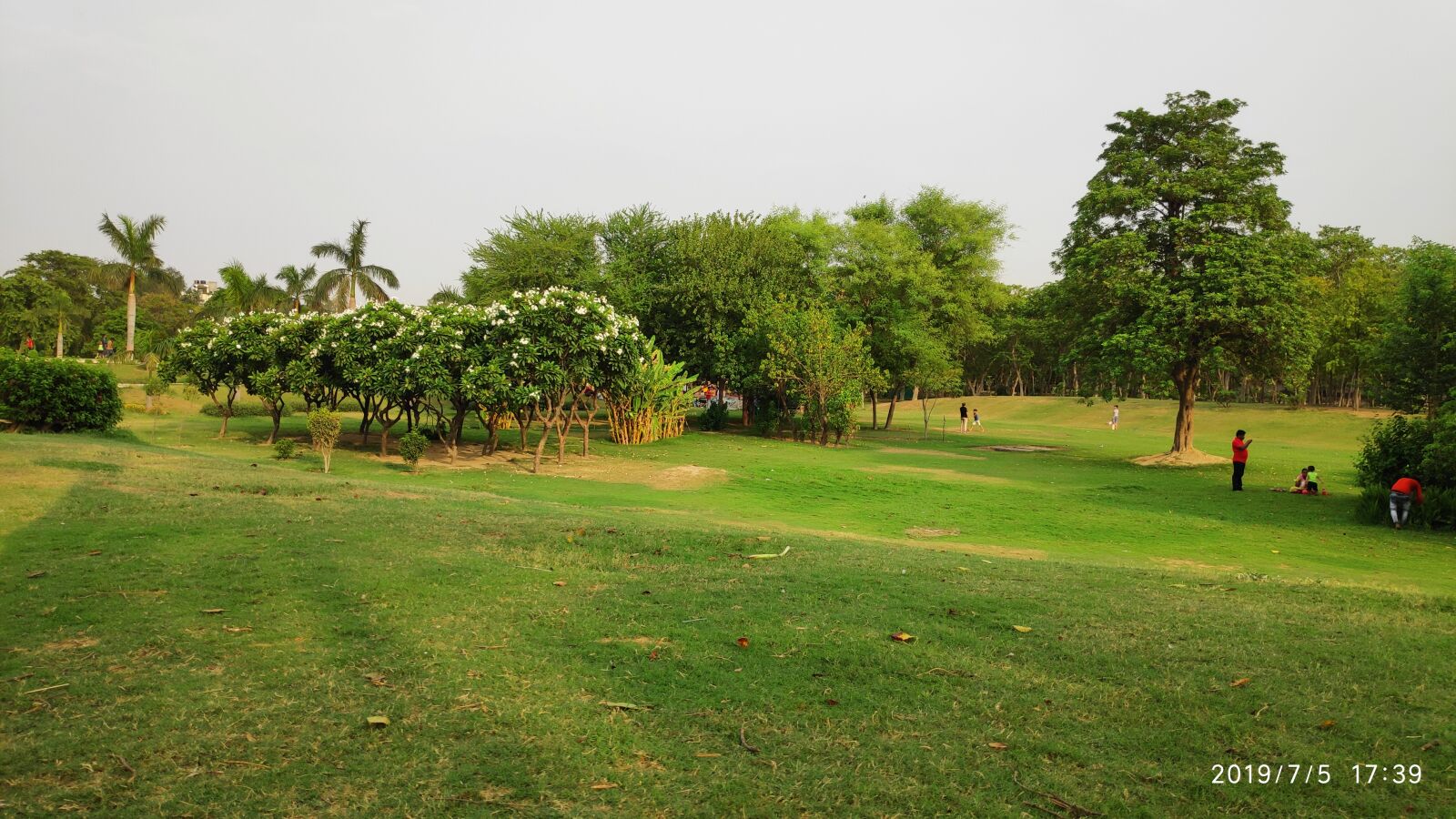 Xiaomi POCO F1 sample photo. Green ground, sky, field photography