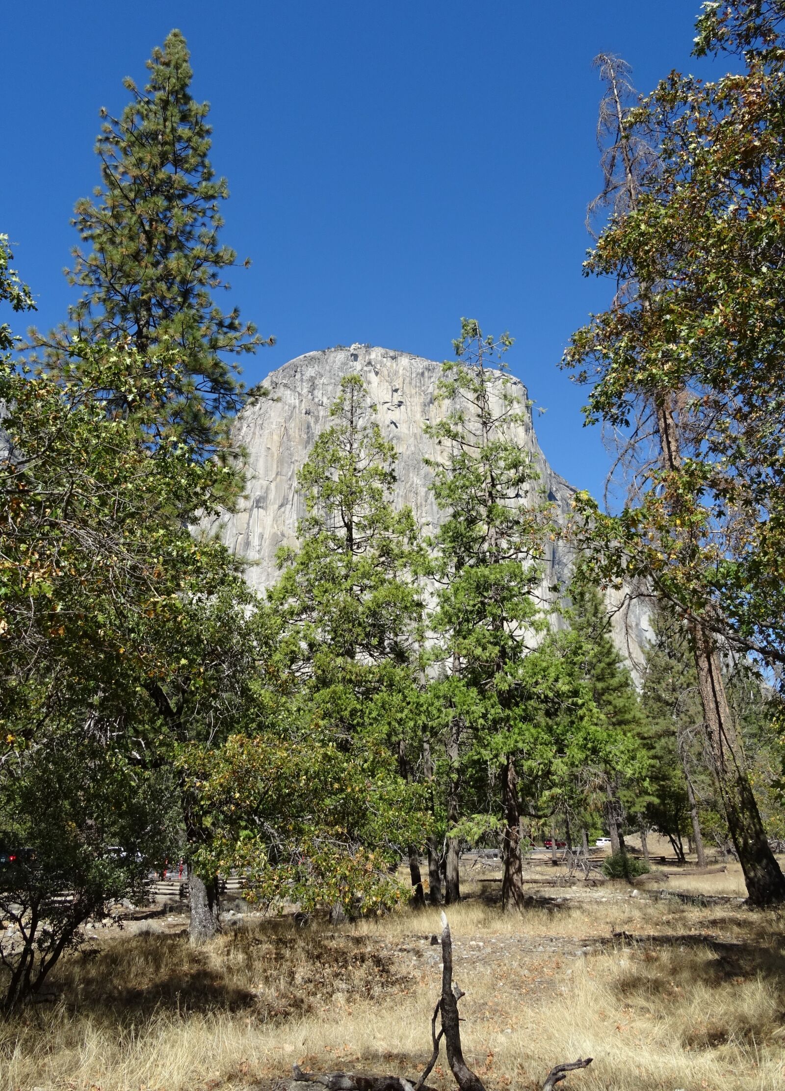 Sony DSC-HX60V sample photo. Yosemite, national park, el photography