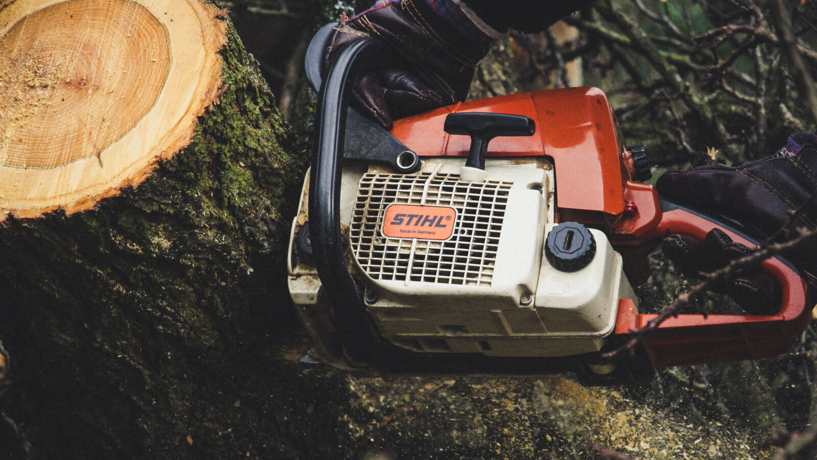 Canon EOS 700D (EOS Rebel T5i / EOS Kiss X7i) sample photo. Chainsaw, equipment, machine, tool photography