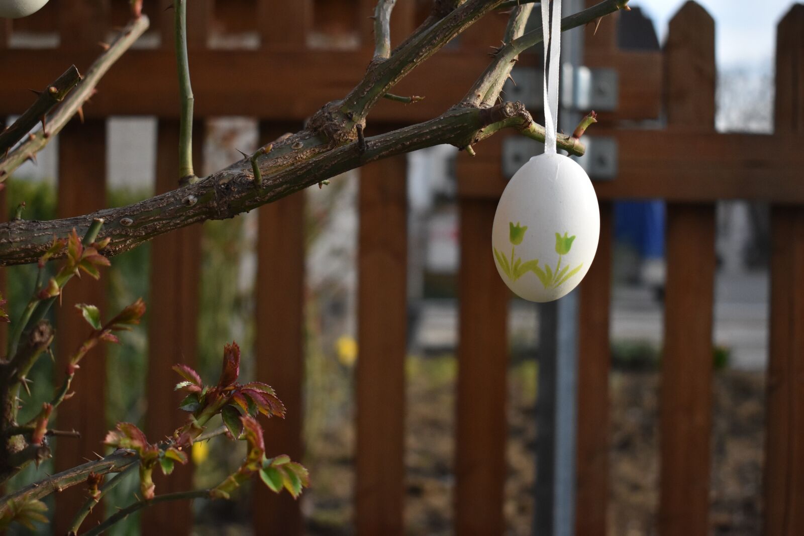 Nikon D3400 sample photo. Easter, garden, spring photography