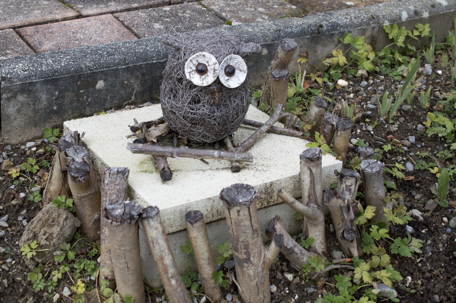 Nikon D3200 sample photo. Owl, decoration, garden gnome photography