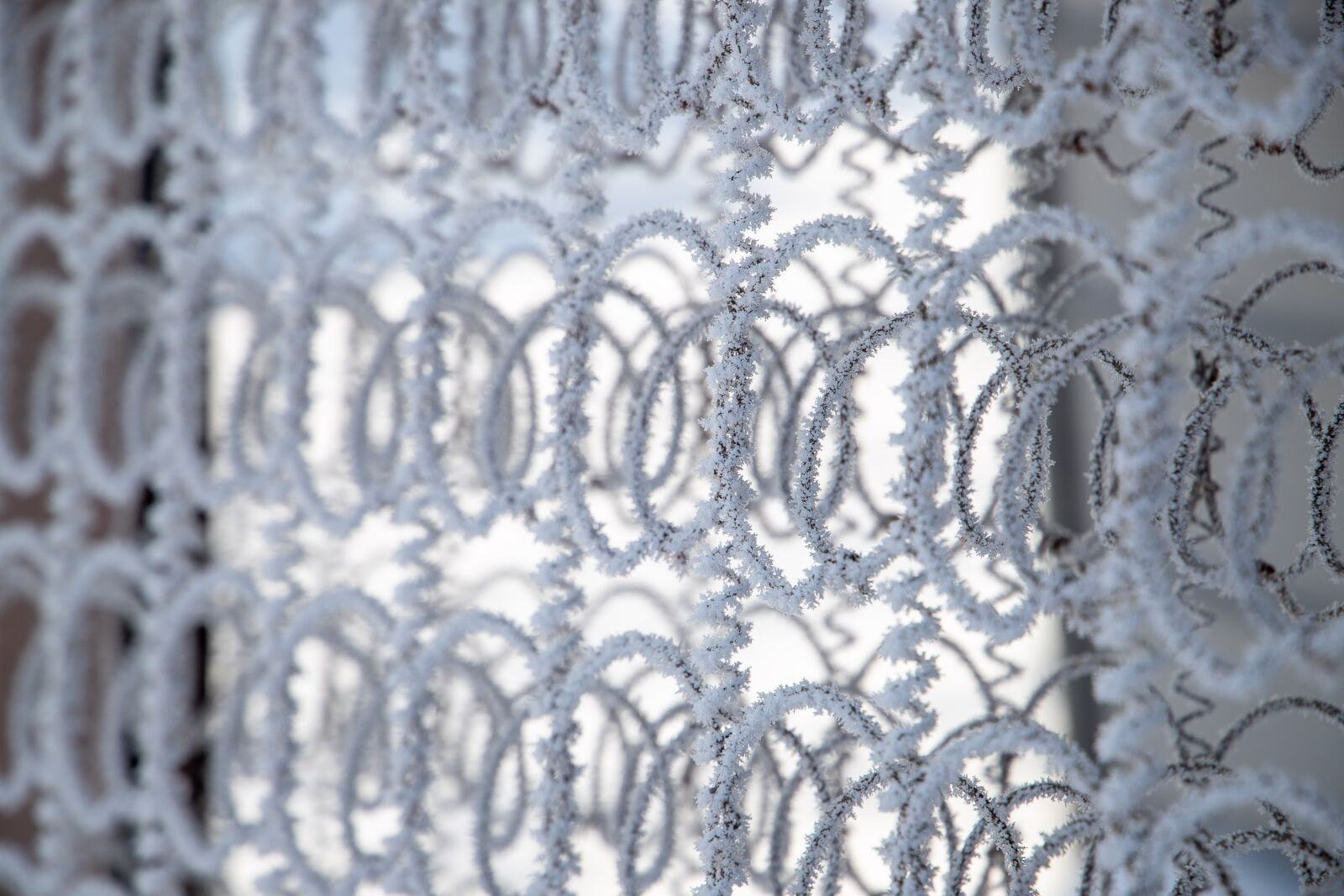 Canon EF 24-105mm F3.5-5.6 IS STM sample photo. Springs, pattern, frost photography