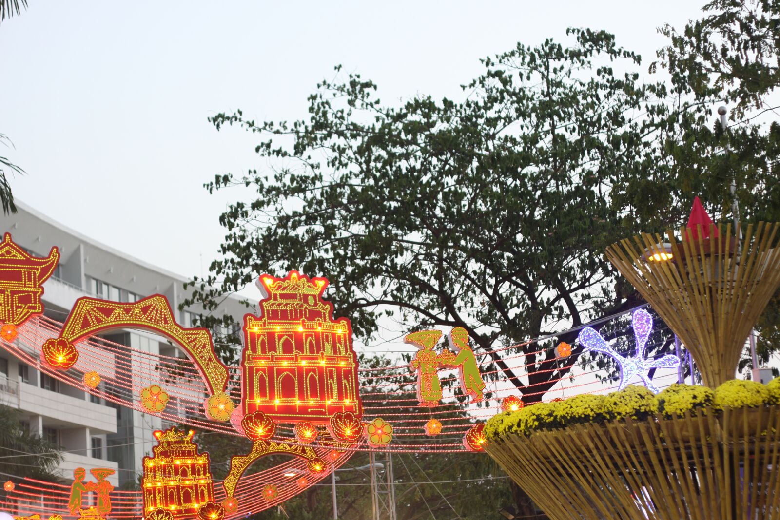 Canon EOS 50D sample photo. Related, fly, flower photography