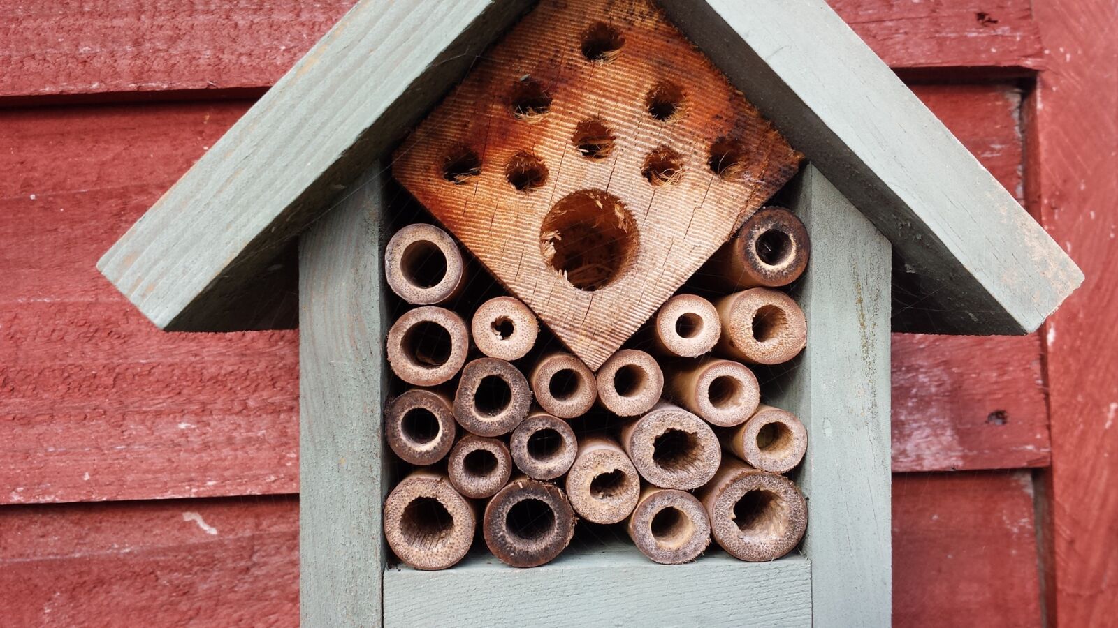 Samsung Galaxy S4 sample photo. Natural, bees, wood photography