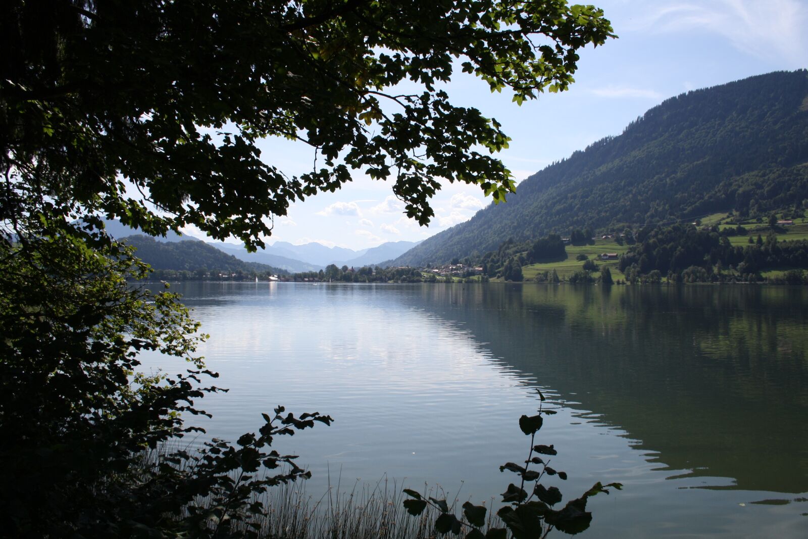 Canon EOS 1000D (EOS Digital Rebel XS / EOS Kiss F) sample photo. Alpsee, lake, nature photography
