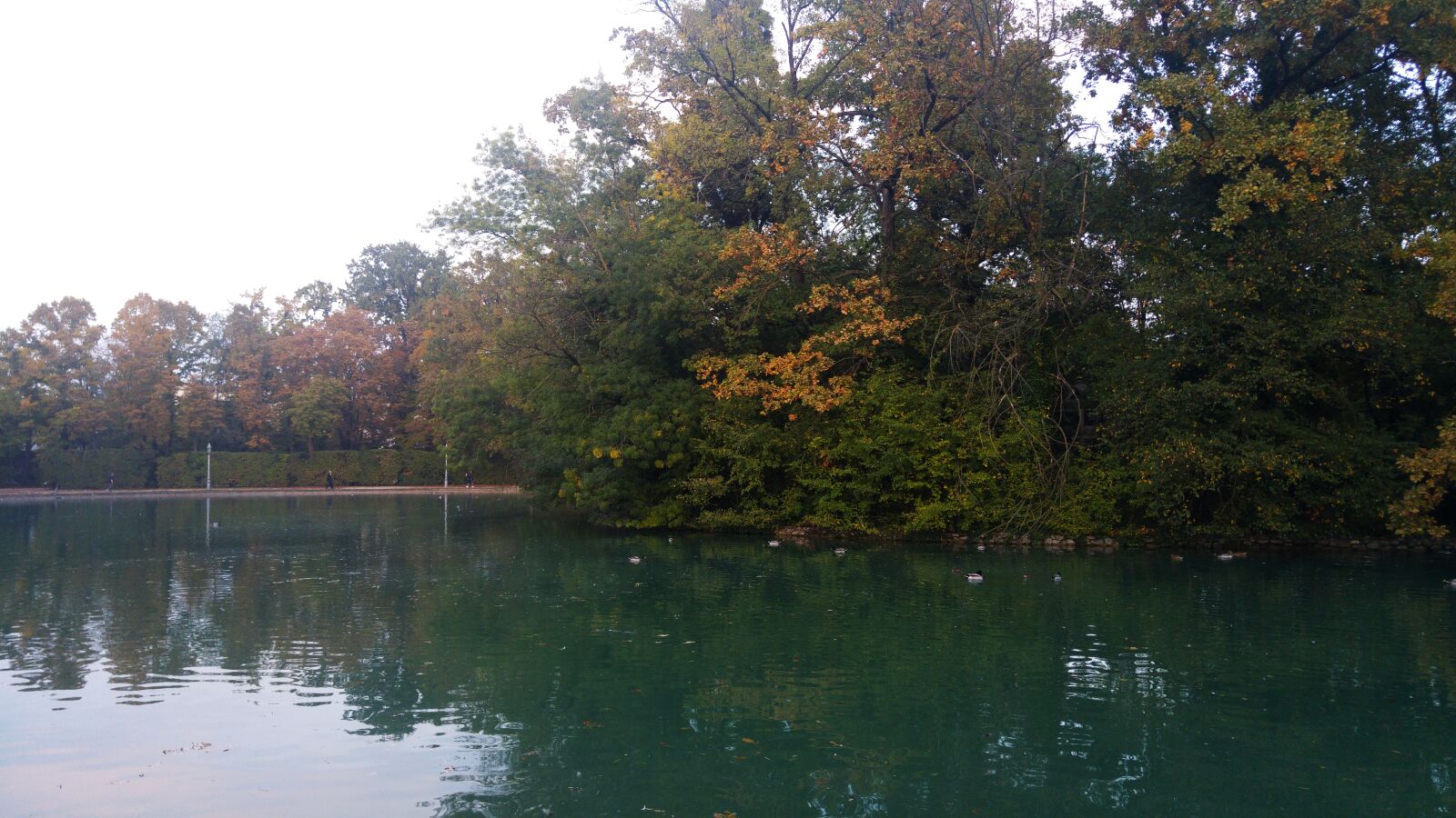 LG G4 sample photo. Lake, pond, garden photography