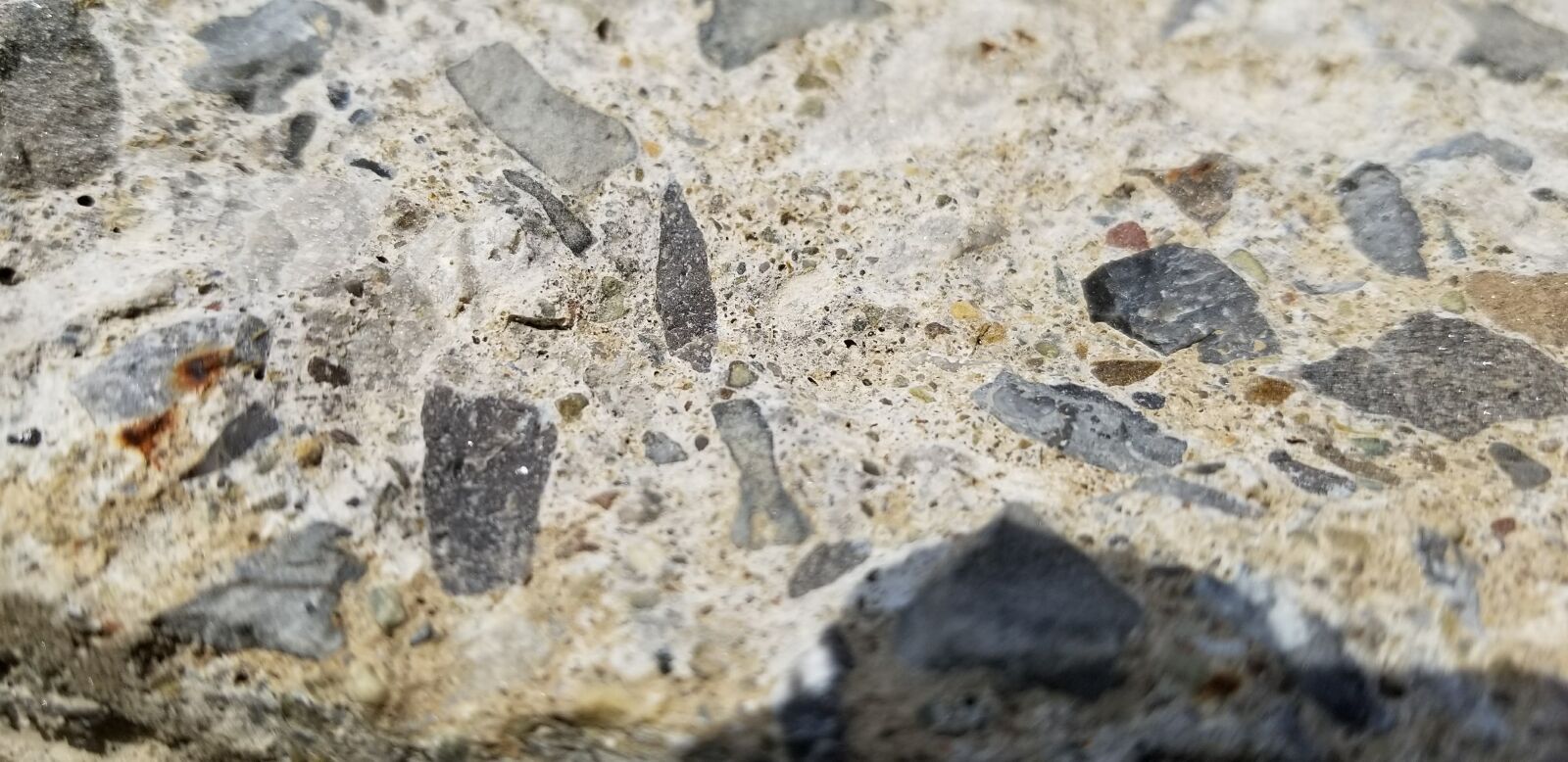 Samsung Galaxy S8 sample photo