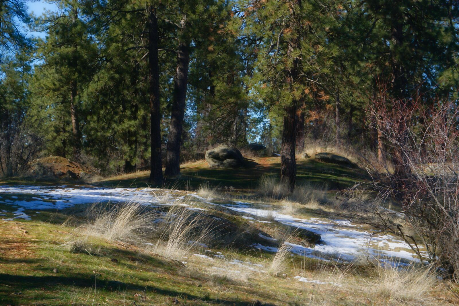 Sony E 16-50mm F3.5-5.6 PZ OSS sample photo. Mirabeau, landscape, spring photography