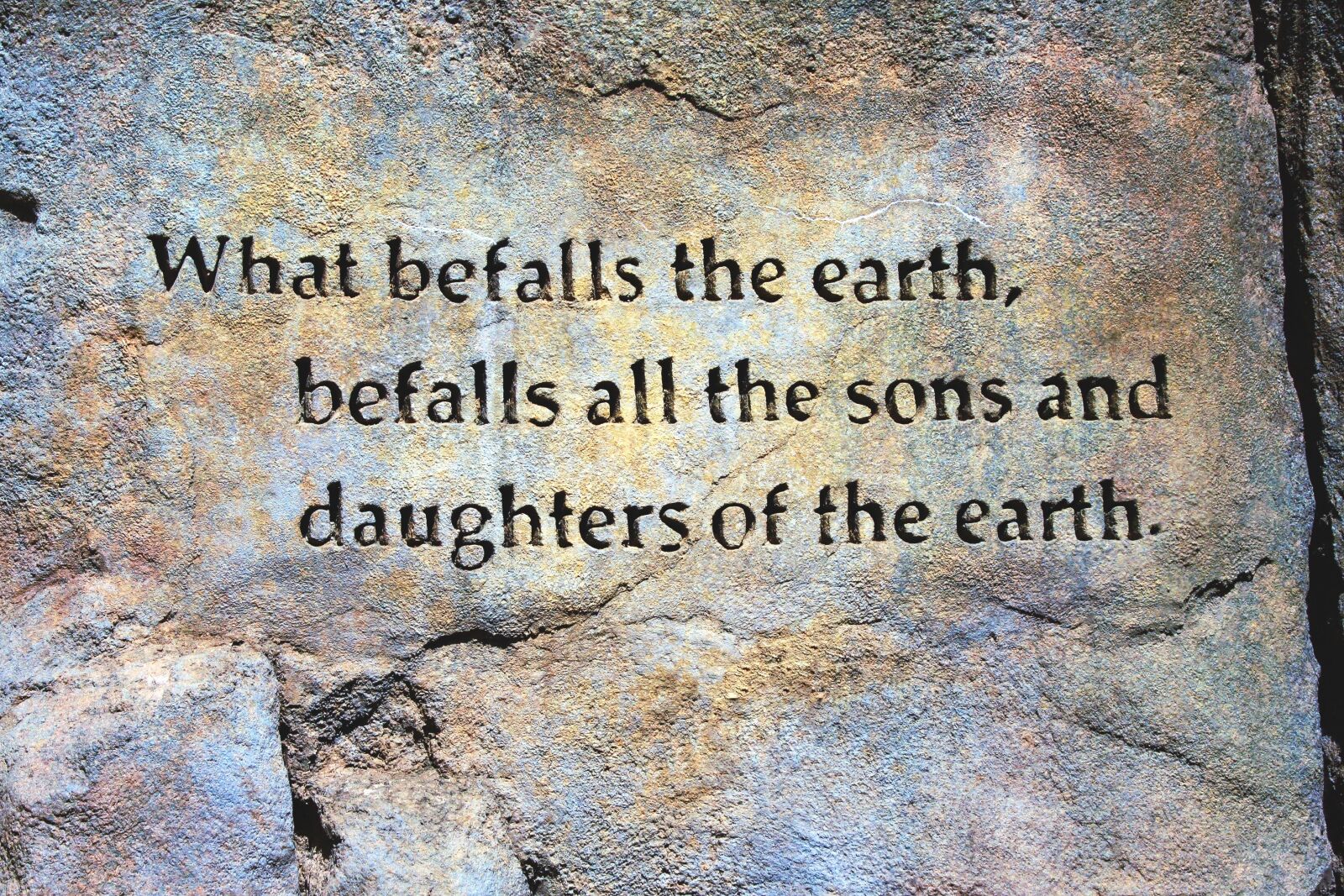 Canon EOS 30D sample photo. Befall the earth quote photography