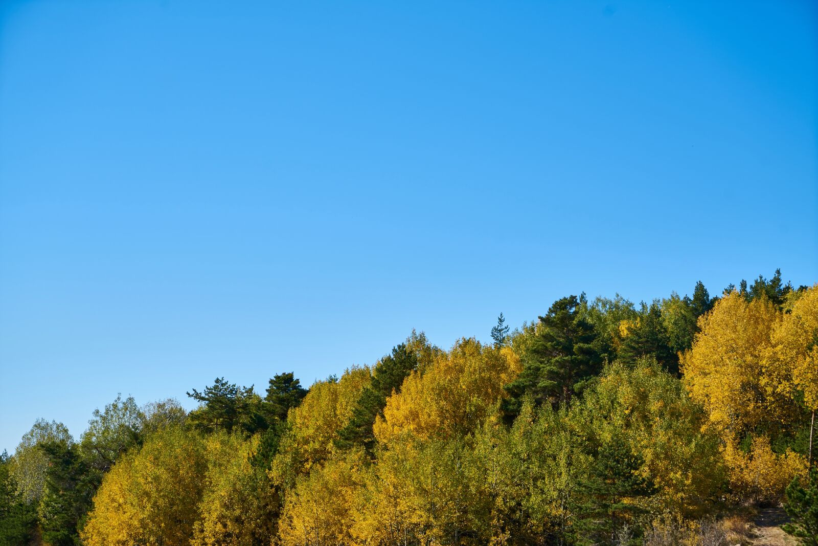 Sony a7R II sample photo. Autumn, season, landscape photography