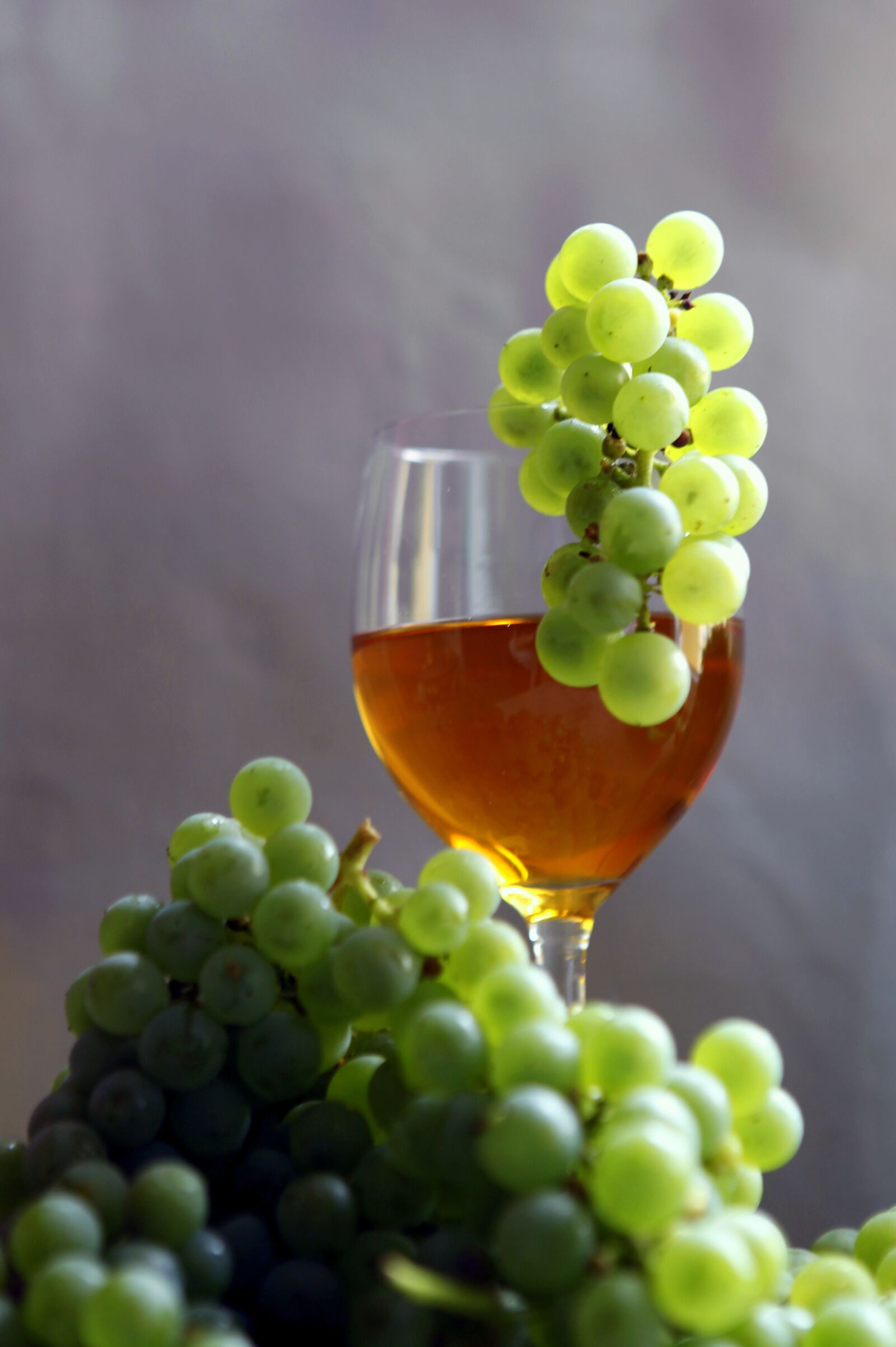 Canon EOS 5D Mark II sample photo. Wine, vintage, vines photography
