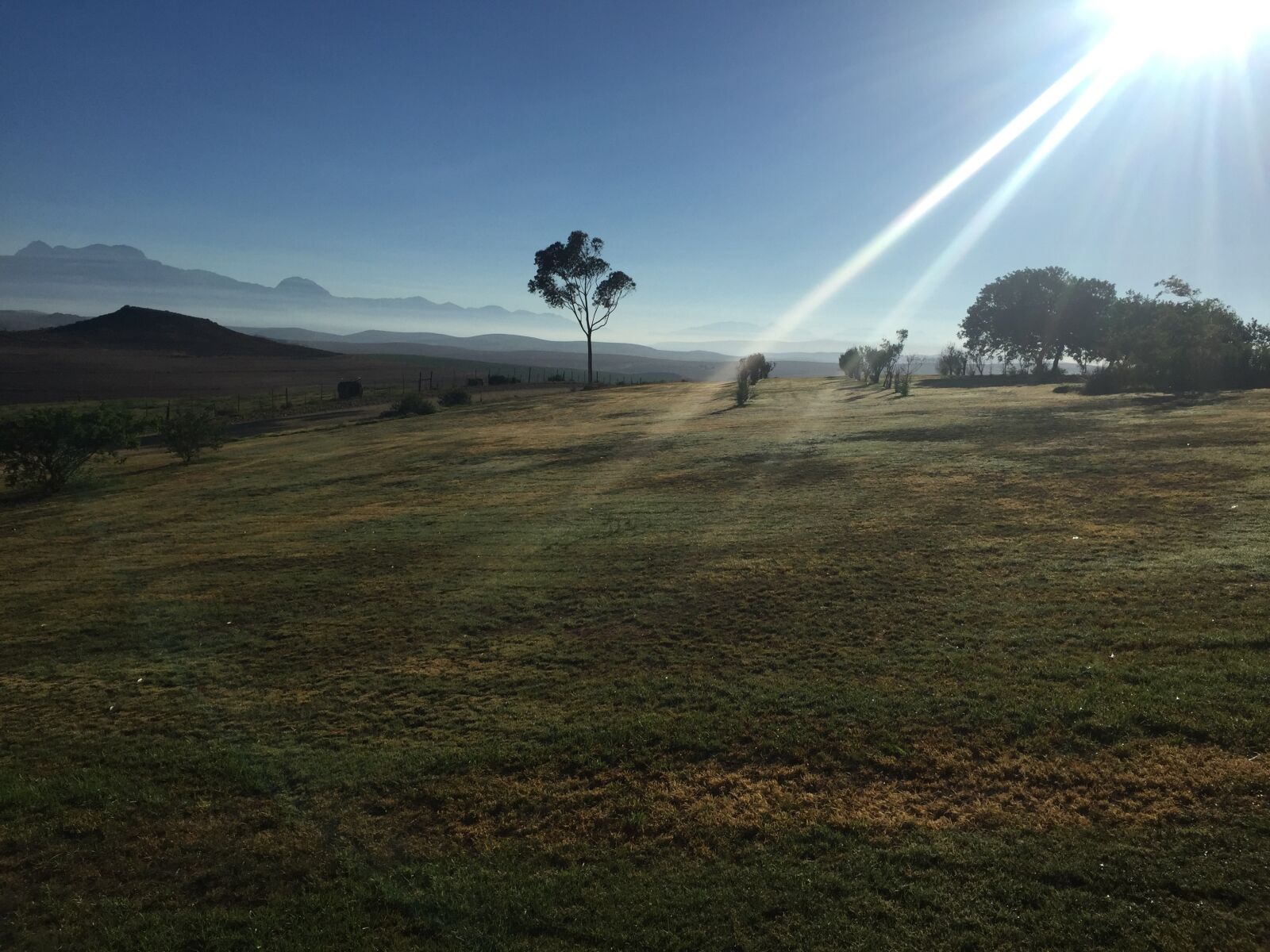Apple iPhone 6 sample photo. Sun, countryside, nature photography