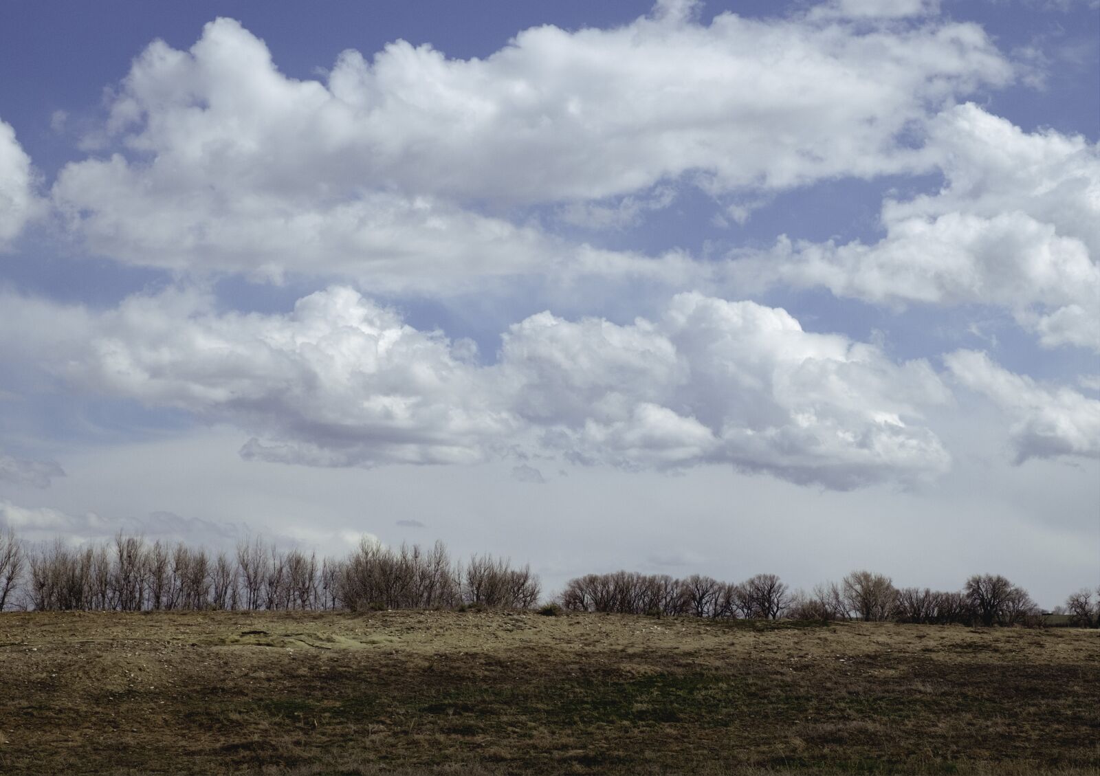 Nikon D200 sample photo. Sky, blue, green photography