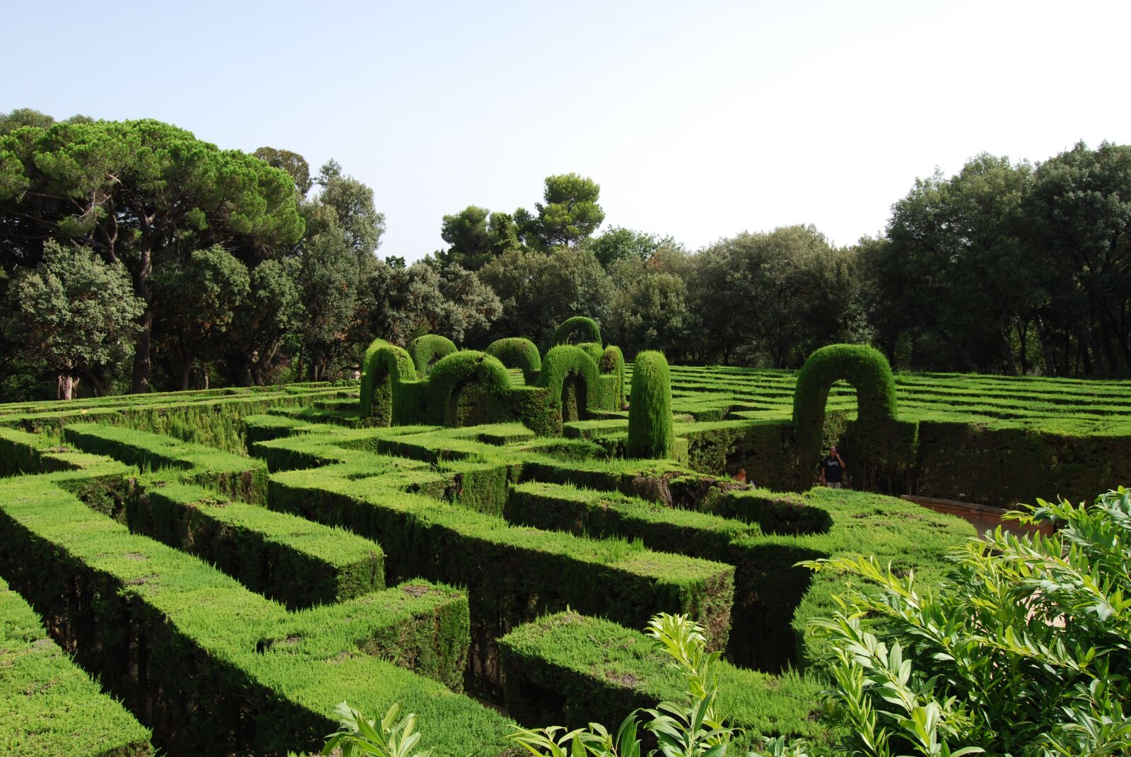 Nikon D40X sample photo. Maze, green, labyrinth photography