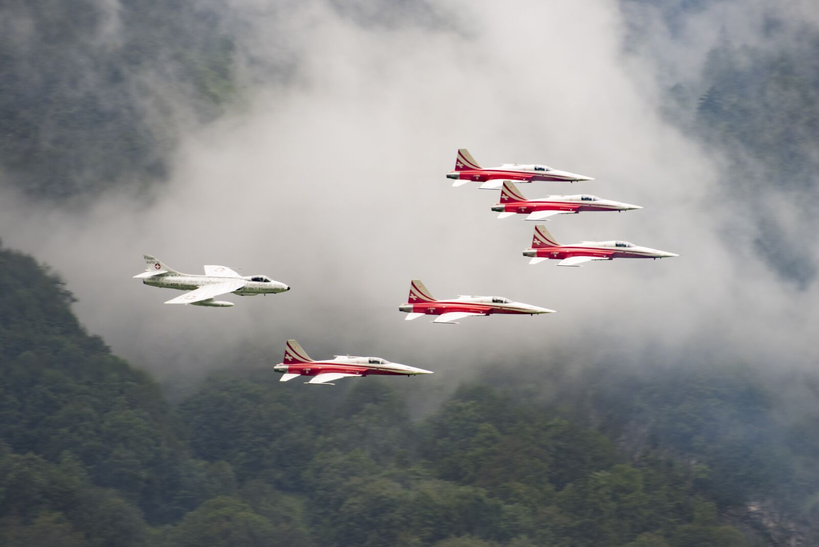 Nikon D810 sample photo. Patrol suisse, tiger, f-5e photography